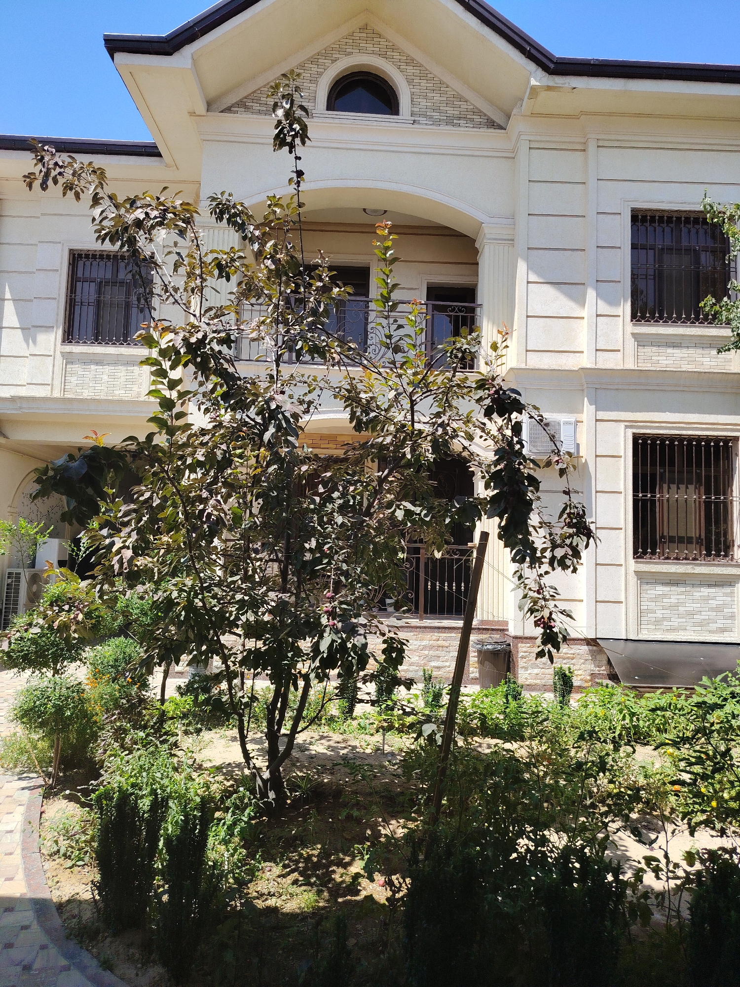 The image shows a modern, cream-colored, multi-story building with arched windows, decorative trim, and barred windows. In front of the building is a garden with various plants, including a tree with dark leaves and small reddish fruits. An outdoor air conditioning unit is visible on the side of the building. The ground appears to be a mixture of sand and small stones. The scene is illuminated by sunlight, casting shadows from the trees and plants. The architectural style suggests a residential or commercial property in a warm climate. The presence of an air conditioning unit and the style of the building are common in Tashkent, Uzbekistan.