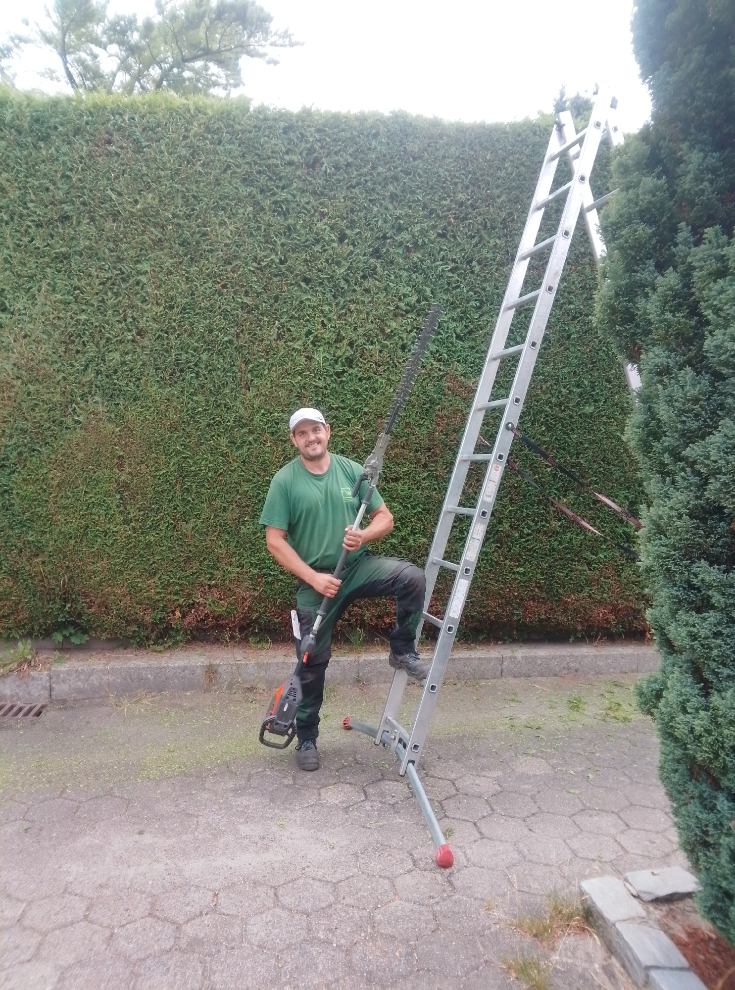 In Wedel, Germany, a man stands on a paved area in front of a large, neatly trimmed hedge. He is wearing a green t-shirt, green work pants, a white cap, and dark work shoes. He is holding a long-handled hedge trimmer, which is resting on a ladder. The hedge appears to be a conifer, possibly a thuja, and it is densely packed with green foliage. A tall, silver-colored A-frame ladder is leaning against the hedge, with its legs extended. The ground is covered in a mixture of pavement tiles and some scattered green clippings, indicating recent yard work. To the right of the hedge, another conifer tree is visible. The sky is overcast and bright.