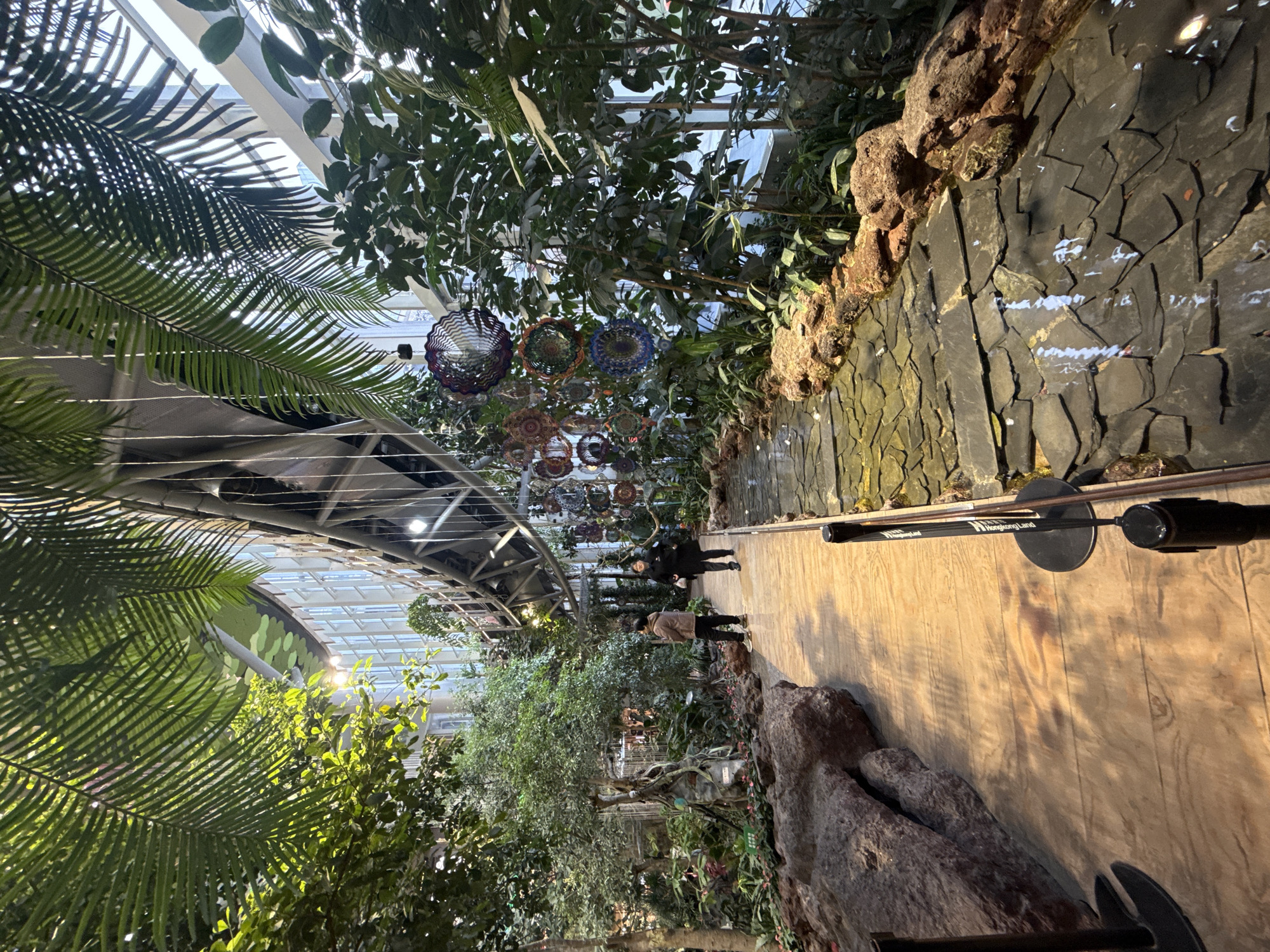 An indoor botanical garden in Liangjiang, China, is depicted from a low-angle perspective. The scene features a light-colored wooden plank pathway extending from the foreground into the mid-ground. To the left of the pathway are large, reddish-brown rocks and densely planted tropical greenery, including small trees and plants with pink blossoms. To the right, a shallow water feature resembling a stream, paved with irregular dark slate tiles, runs parallel to the pathway, separated by dark stanchions with retractable barriers. Water within the feature shows reflections and ripples.
Above the water feature, numerous colorful, metallic, circular wind-spinner-like ornaments are suspended from the ceiling structure. The upper section of the image reveals a high, modern architectural design featuring a curved glass facade and structural metal beams, allowing ample natural light. Large, green palm fronds hang from the ceiling, partially obscuring the overhead structure.
Two individuals are present on the wooden pathway in the mid-ground. The person on the left wears a brown jacket and dark pants, facing away from the camera. The person on the right wears a dark coat and dark pants, also facing away, with their head slightly turned right. Both appear to be walking through the garden.
