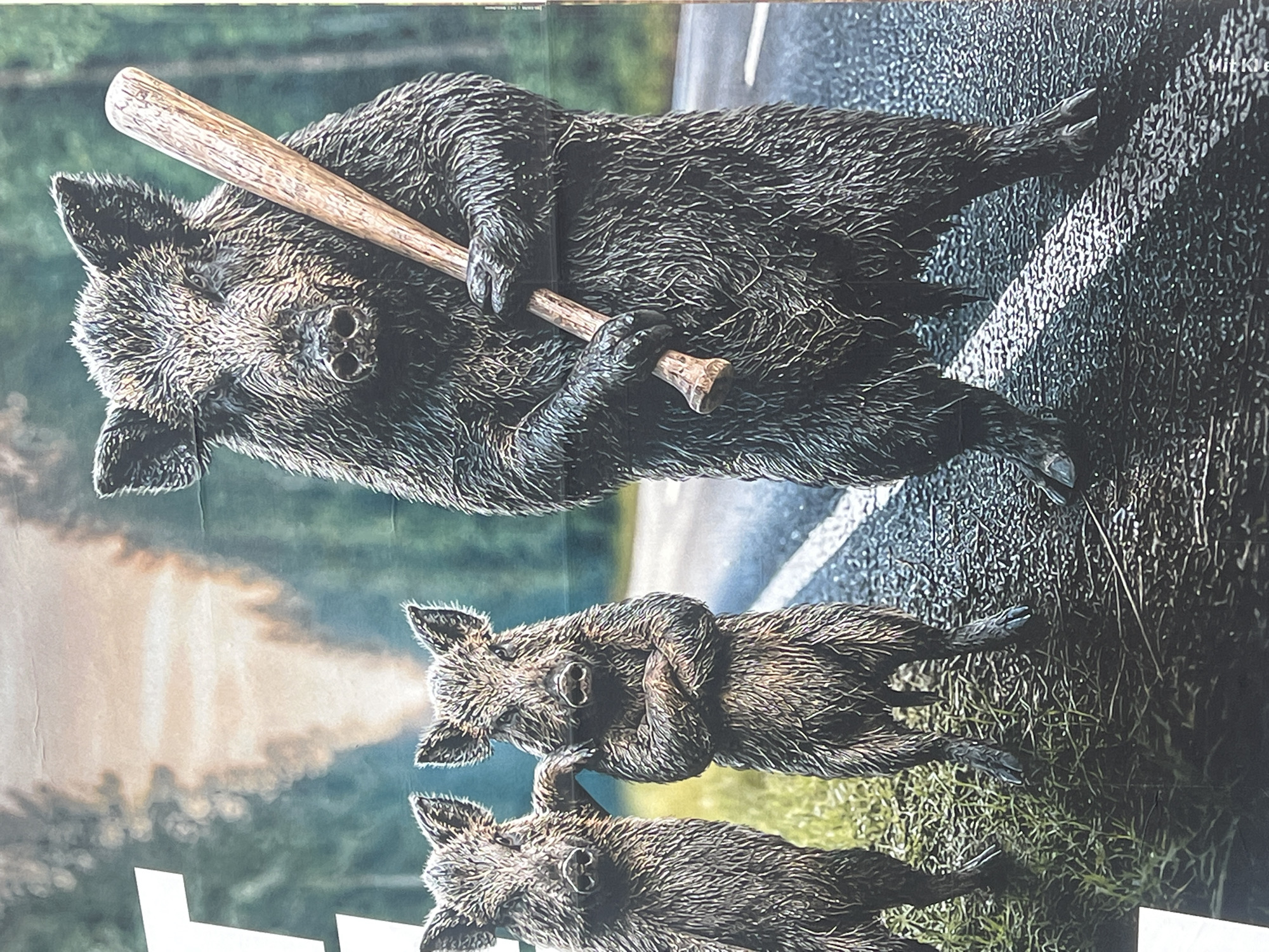 The image depicts three anthropomorphic wild boars standing on an asphalt road bordered by grass and trees. The boar on the right is larger than the other two and holds a wooden baseball bat in its hands, positioned in front of its body. The middle boar stands with its arms crossed. The boar on the left has its arm resting on the middle boar's shoulder. The background shows a forest with a hazy sky. There are no discernible landmarks or elements that would specifically identify the location as Straubing, Germany.
