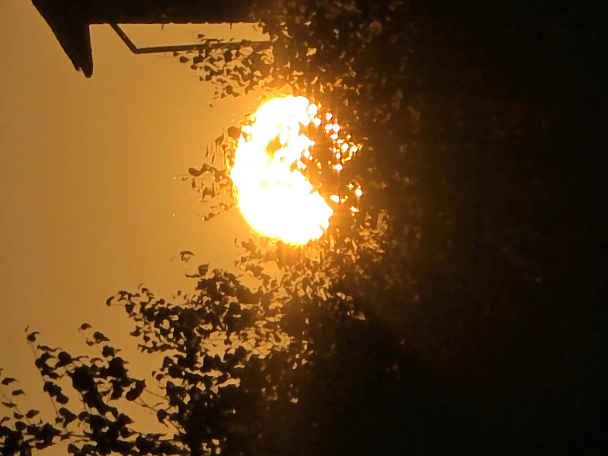 The image captures a bright, sun-drenched scene with the sun appearing as a glowing orb in the center, partially obscured by dark, leafy foliage. The sky is a warm, hazy orange. To the right, a dark silhouette of a building, possibly a house with a pitched roof and gutter, is visible against the bright sky. The foreground is dominated by dark, shadowy trees and branches, with the leaves catching the sunlight and appearing as small, illuminated specks. The overall impression is that of a sunset or sunrise viewed through trees. There are no people or discernable actions in the image. The location is described as Magnitka, Russia.