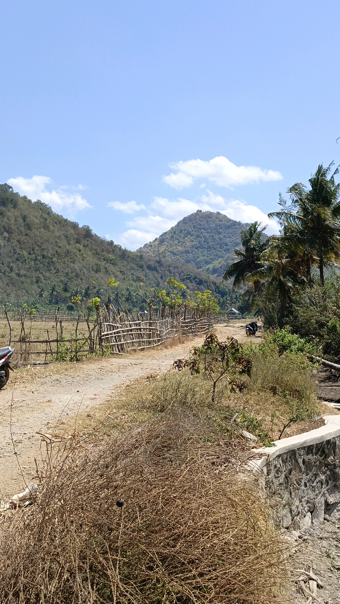 The image depicts a rural landscape in Desa Lamunga, Indonesia, under a clear blue sky with scattered clouds. A dirt road curves through the scene, bordered by a rustic wooden fence constructed from branches. Beyond the fence, a dry, grassy field stretches towards a line of palm trees and more distant, dry hills. In the background, a prominent, rounded mountain is covered in scrub and sparse vegetation. On the right side of the road, a stone wall with a concrete top separates the foreground from a dry, overgrown area with a small, dark object, possibly a bird or animal, perched on a branch. A motorcycle is visible parked on the right side of the road, near a small, simple structure with a thatched roof. Another motorcycle is parked on the left side of the road in the foreground. The overall impression is one of a dry, sun-drenched environment in a tropical rural setting.