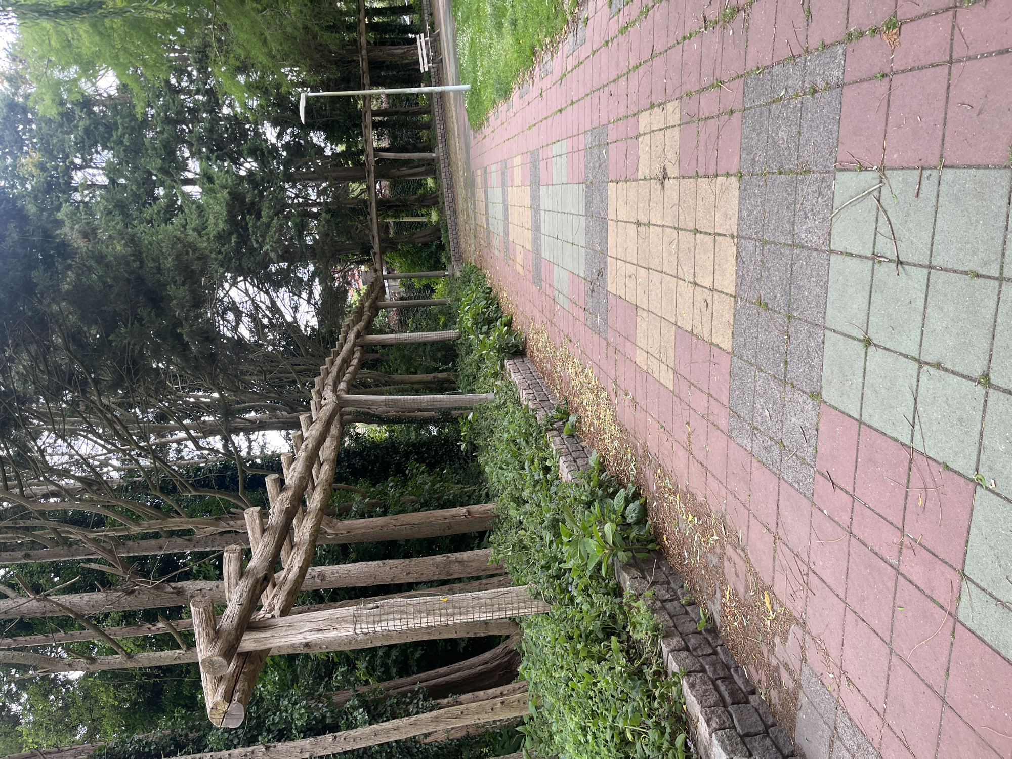 A paved walkway with red, yellow, and gray square tiles curves through a park setting. On the left side of the walkway, a low stone wall is covered with lush green foliage. Behind the wall, a series of tall, slender trees stand in front of a dense green forest. A wooden pergola with a slatted roof runs parallel to the walkway and the stone wall. On the right side of the walkway, grass and scattered white flowers lead to a lamppost and a white park bench. The sky is overcast.