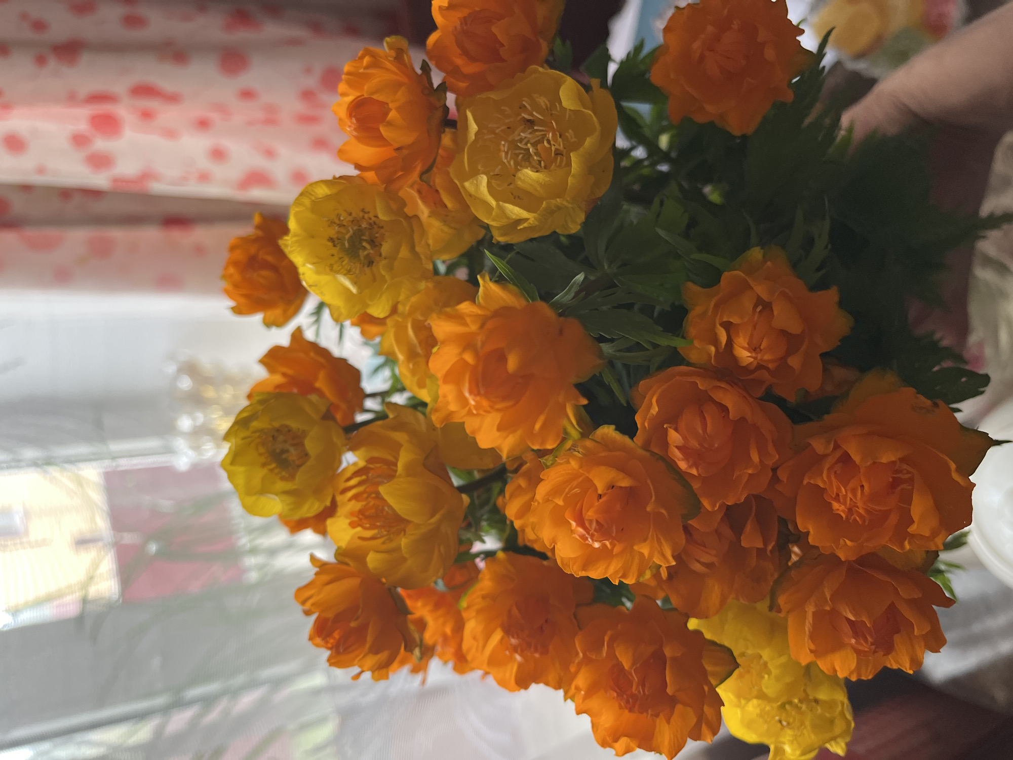 A close-up shot captures a vibrant bouquet of orange and yellow globe flowers, their petals tightly furled and full. The flowers are arranged in a way that suggests they are freshly picked, with green leaves peeking out from between the blooms. The background is softly blurred, with hints of sheer curtains and a window showing a building with a yellow facade, hinting at an indoor setting. The overall impression is one of natural beauty and domestic comfort.