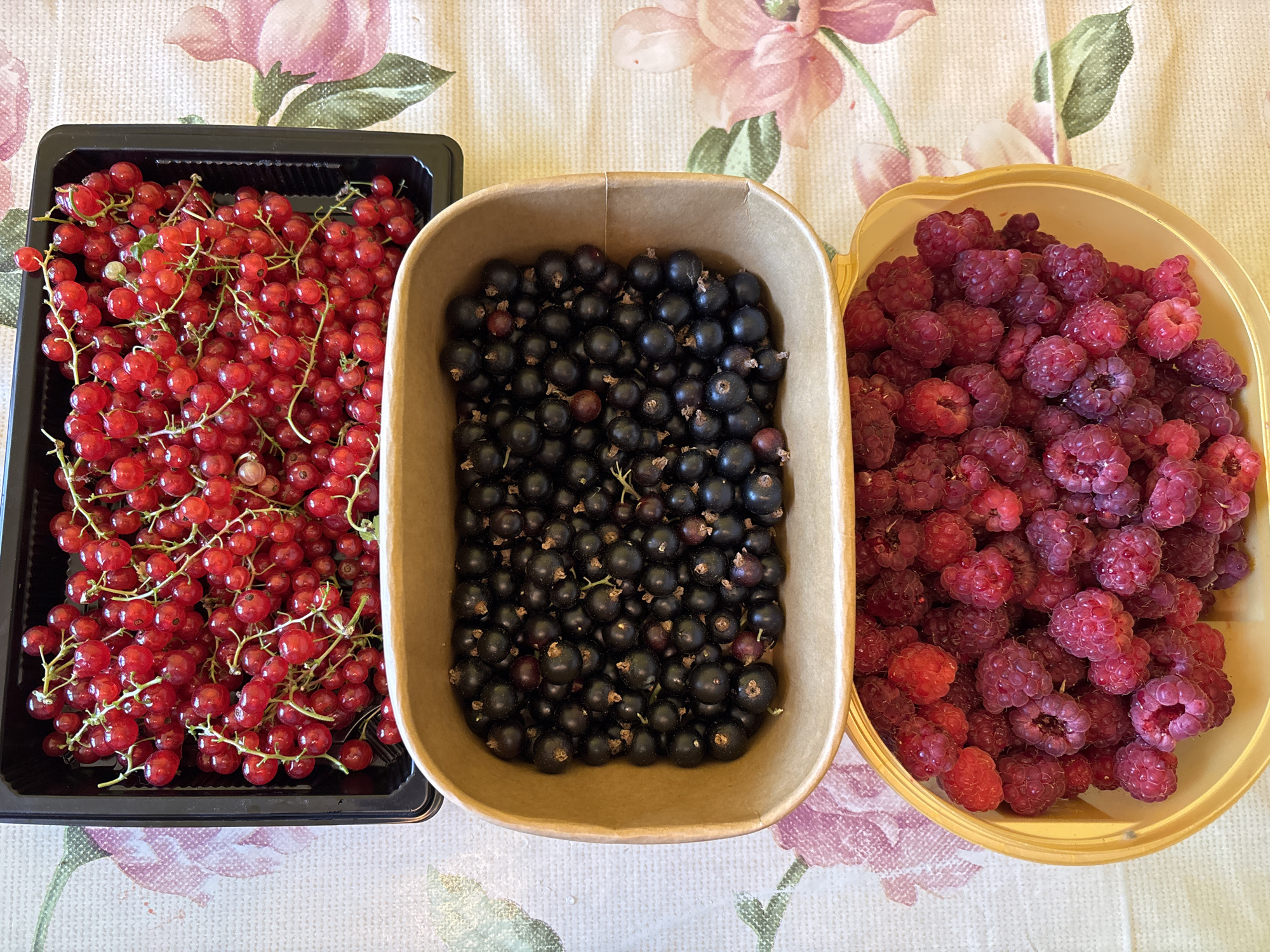 The image displays three containers of berries arranged vertically on a patterned tablecloth. The top container is a black plastic tray filled with bright red currants on the vine. Below it, a brown paper tray holds a generous amount of blackcurrants. The bottom container is a yellow plastic dish overflowing with ripe raspberries. The tablecloth features a floral pattern with large pink and green flowers. The scene is lit from above, casting soft shadows. There are no people or animals present, and no discernible city or geographical context is visible.