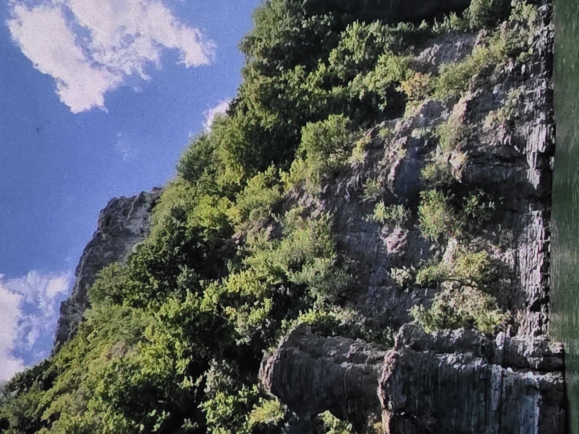 A low-angle, wide shot captures a dramatic cliff face covered in lush green trees, rising steeply from dark, rippling water. The sky above is a vibrant blue, dotted with fluffy white clouds. The rocky cliff is characterized by layers of dark gray stone, some appearing weathered and fractured, while others form distinct horizontal strata. Patches of lighter colored rock are visible, particularly towards the base and some upper ledges. Dense foliage, ranging in shade from deep green to lighter, almost yellow-green, carpets the upper slopes and spills over ledges and out of crevices, obscuring much of the rock face. The water in the foreground appears dark and calm, reflecting the dense greenery and the rocky cliff. The scene suggests a natural, possibly remote location, with no discernible man-made structures or individuals present, although the description of "city of Dubno, Ukraine" implies an urban context.