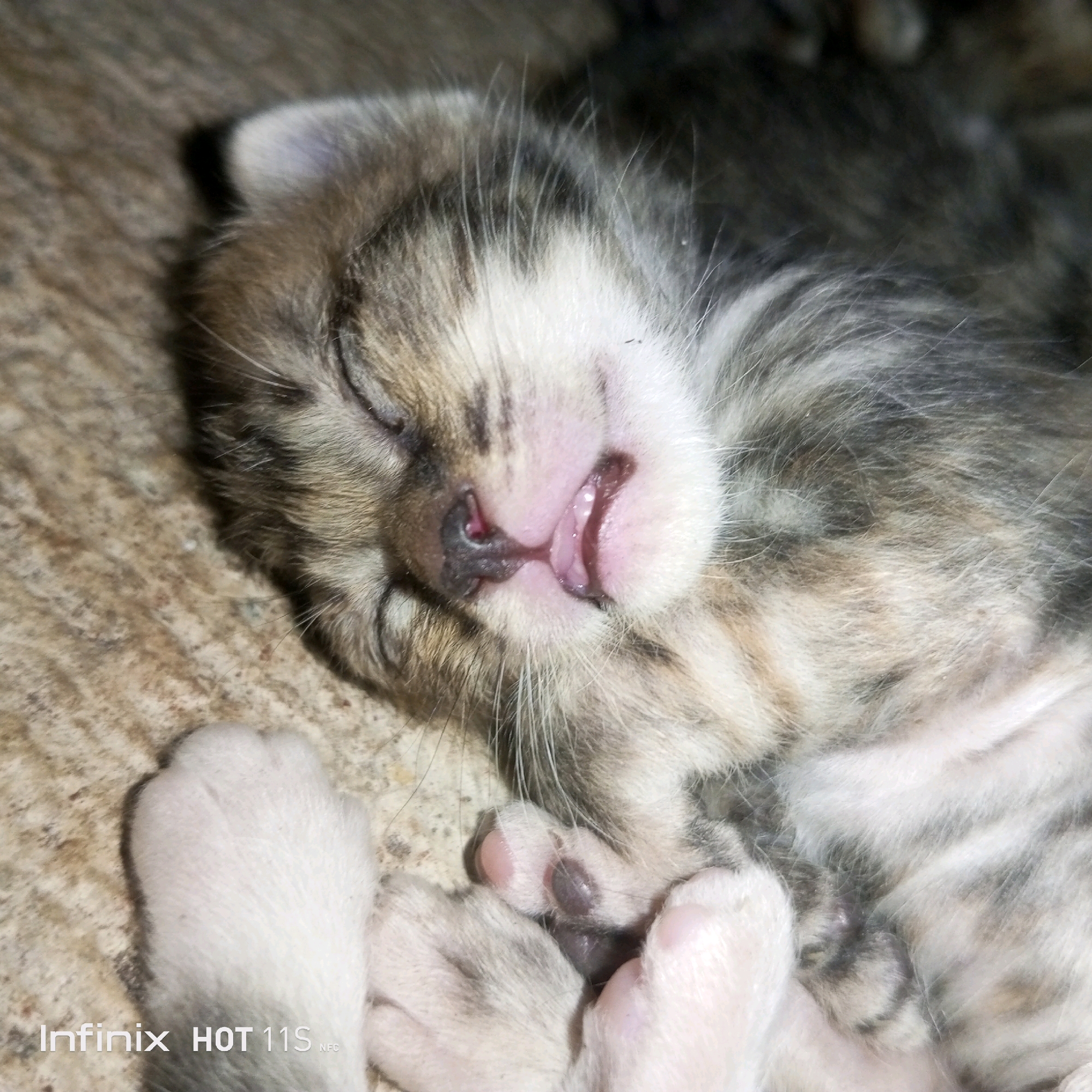 A very close-up shot shows a tabby kitten sleeping on a textured surface. The kitten's face is the main focus, with its eyes closed and its mouth slightly open, revealing a pink tongue. The fur is a mix of grey, black, and white stripes. The kitten's paws are visible, one resting on top of the other. The background is a blurred, brown, and grey textured surface. The image has a watermark in the bottom left corner that reads "Infinix HOT 11S NFC." The scene is devoid of any human presence or any recognizable elements of the city of Sukaslamet, Indonesia.