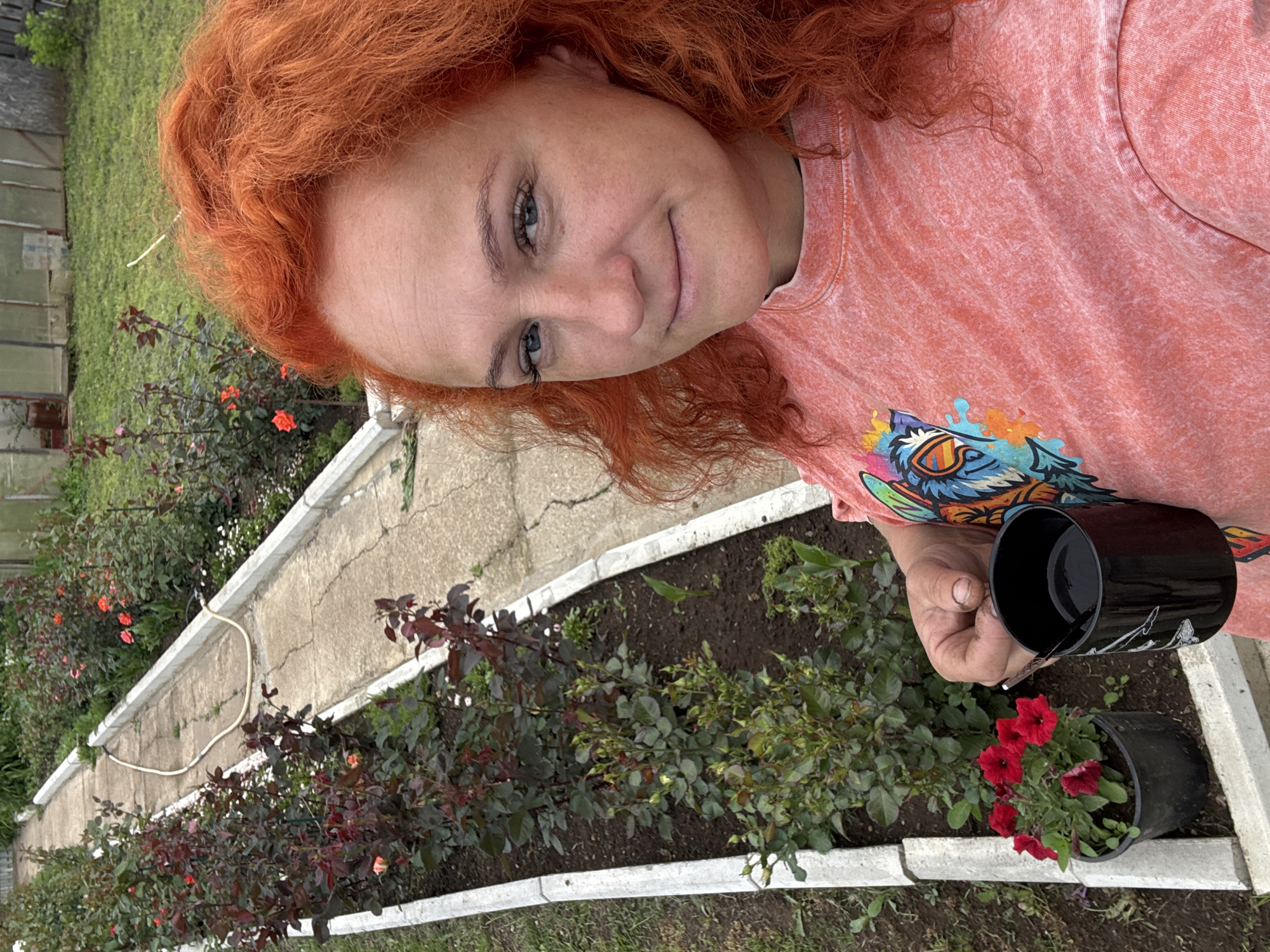 A woman with bright red, curly hair and blue eyes takes a selfie in a garden. She is wearing a coral-colored t-shirt with a graphic print on the left side. She holds a black mug with a spoon in her right hand, which is partially visible. The garden features a concrete pathway lined with raised flower beds. The flower beds contain rose bushes with dark leaves and some small red flowers. In the foreground, a pot with red petunias is visible. In the background, a greenhouse and a grassy area can be seen. The location is specified as being in the city of Chaikovsky, Russia.
