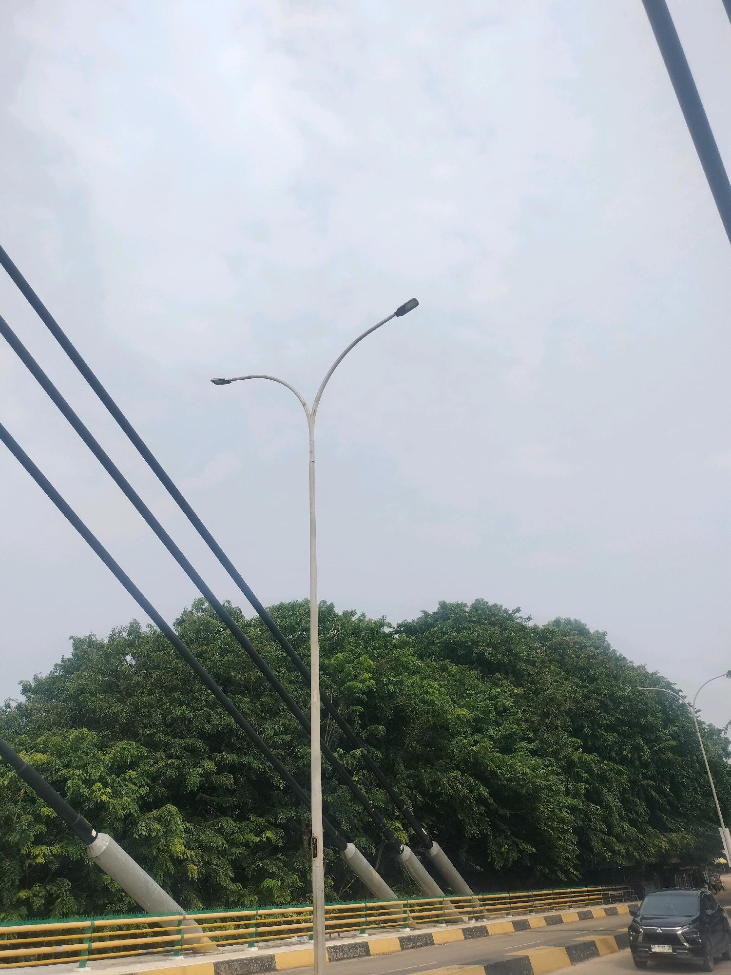 This image depicts a road scene on a cloudy day in Batam, Indonesia. The foreground shows a road with black and yellow striped barriers and a black car driving on the right. In the mid-ground, a large, dense green tree canopy dominates the scene, with the thick foliage suggesting a tropical environment. Behind the trees, a light-colored streetlamp with a curved arm stands tall. In the background, several thick, dark cables descend diagonally across the frame, attached to some unseen structure, likely part of a bridge or large overhead construction. The sky is overcast and pale grey, with faint cloud formations visible. The overall impression is one of urban infrastructure integrated with natural elements.