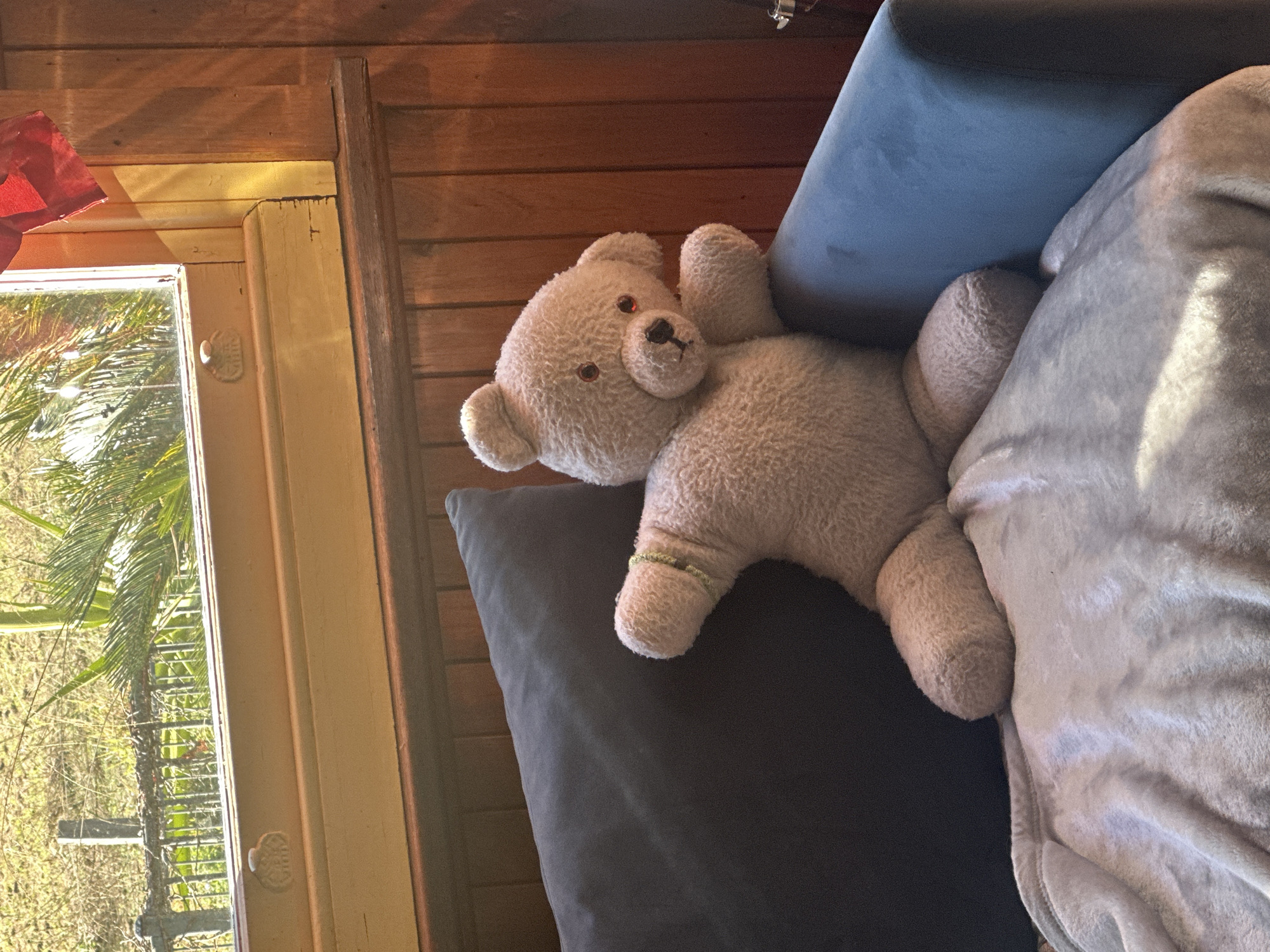 An indoor scene depicts a light beige, plush teddy bear sitting on a blue armchair. The teddy bear is positioned with its legs crossed, its left arm resting on the armrest, and its right arm extended outwards. A light gray, fuzzy blanket is draped over the armchair and the teddy bear's legs. Behind the armchair, wooden paneling lines the wall, and to the left, a dark blue pillow is partially visible. In the background, a window looks out onto a sunlit, outdoor environment with greenery and a fence. The scene appears to be in a residential setting, likely Thora, Australia, given the typical architecture and vegetation seen. There are no people present in the image.