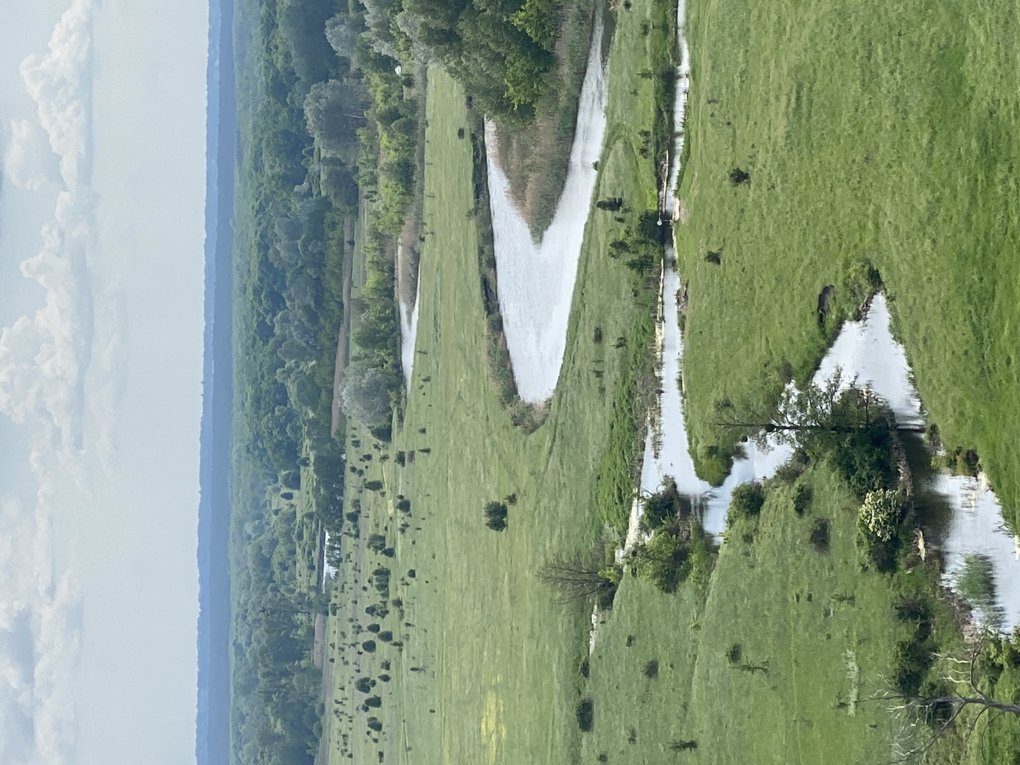 The image shows an aerial view of a rural landscape. In the city of Ustyvytsia, Ukraine. A river or stream winds through a green, grassy field dotted with trees and bushes. The river reflects the sky. On the left side of the image, there is a dense forest. The sky is cloudy.