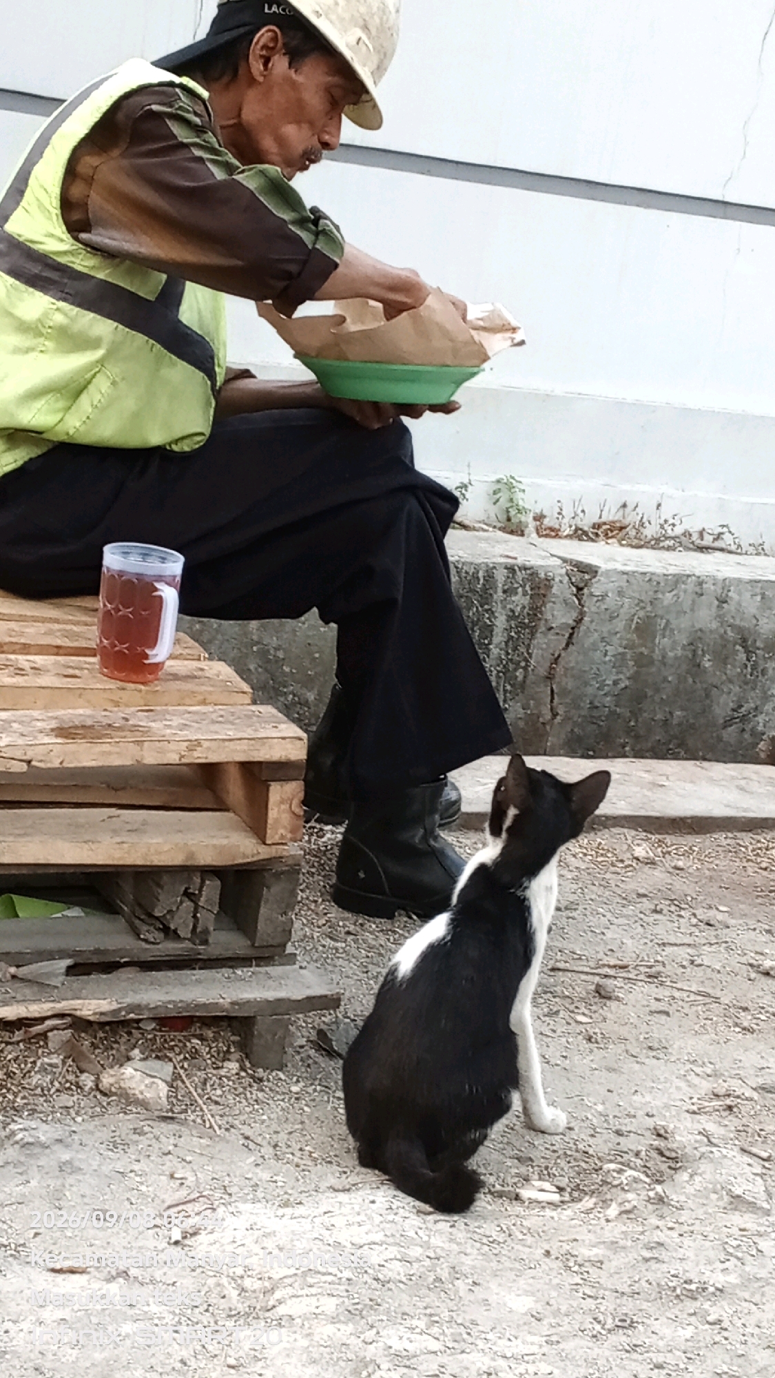 A man wearing a construction hat, a high-visibility vest over a long-sleeved shirt, and black pants is sitting on wooden pallets and eating from a paper bag with a green bowl. He is looking down at his food. Beside him on the pallets is a glass of amber liquid with a white handle. A black and white cat sits on the ground facing the man, looking up at him. The scene is outdoors, with a light-colored wall in the background and cracked concrete in the foreground. The ground is covered in gravel and dirt. The timestamp on the image indicates it was taken in Roomo, Indonesia on September 8, 2026, at 08:54 AM.