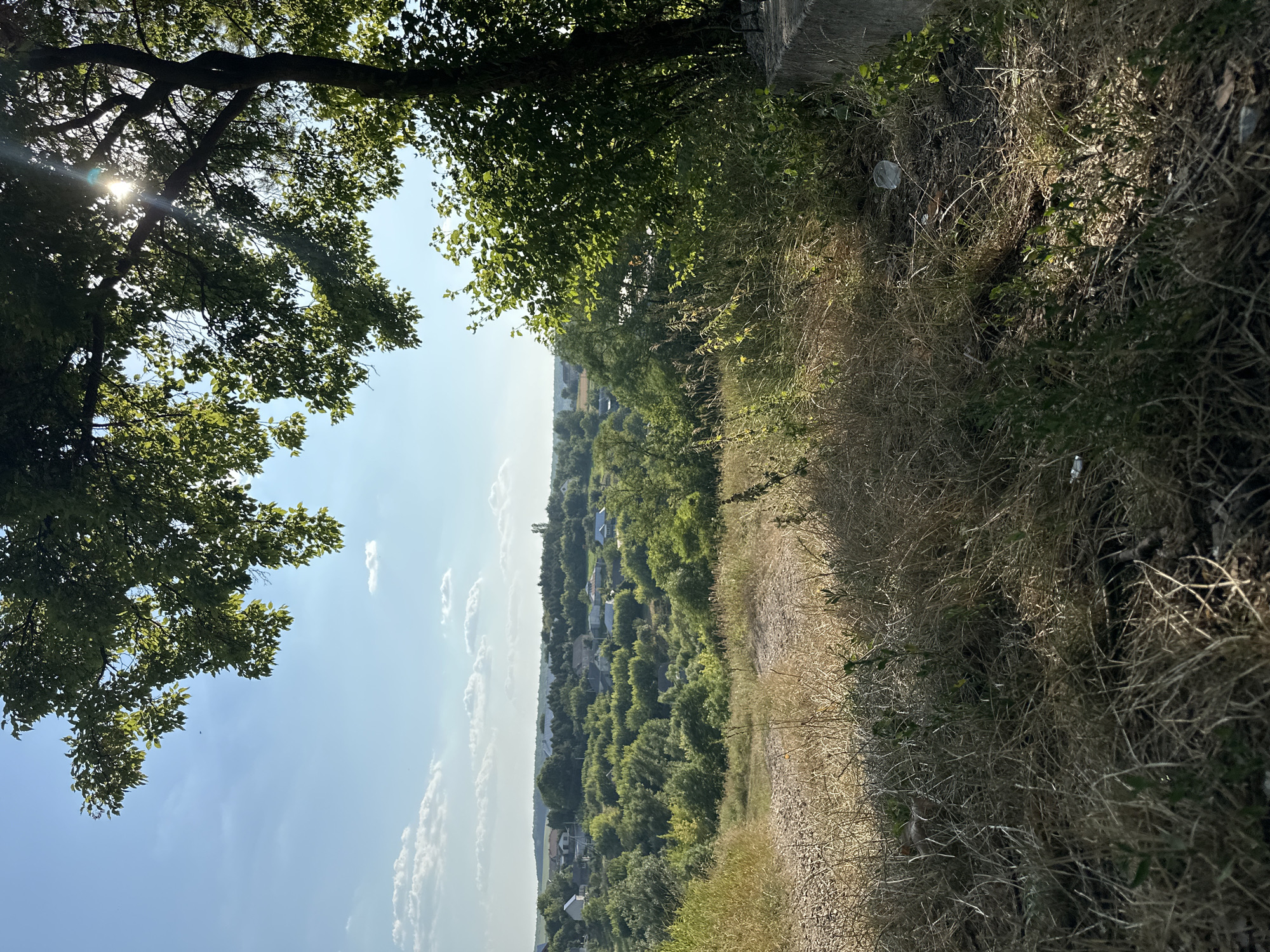 The image shows a landscape view of the city of Makiv, Ukraine, on a sunny day. In the foreground, dry grass and dirt create a rough path leading down a slope. A large tree with green leaves is prominent on the right side of the image, with sunlight filtering through its branches. In the middle ground and background, the city of Makiv is visible, with houses and trees spread across rolling hills under a bright blue sky with scattered clouds. The overall impression is of a rural, natural setting within a Ukrainian town.
