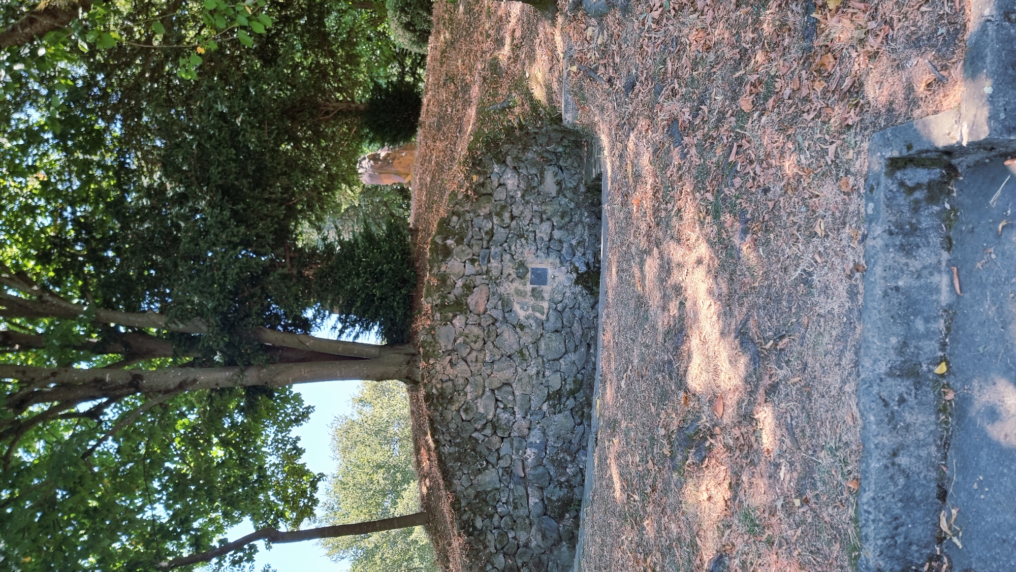 The image shows an outdoor scene in La Vall d'en Bas, Spain, featuring a stone-walled structure set into a grassy, leaf-strewn hillside. A large tree with dense green foliage grows from the top of the structure, casting shadows. A small, dark plaque is affixed to the stone wall. The surrounding area is dry and appears to be autumnal, with scattered leaves on the ground and a concrete curb in the foreground. The overall impression is of a natural, perhaps historical, site within a park or garden setting.