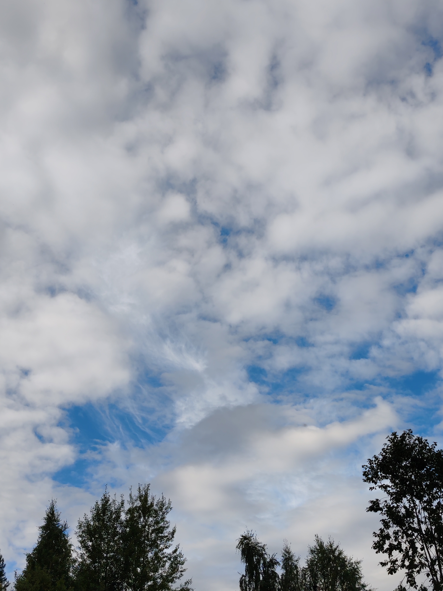 This is a photograph of a cloudy sky with trees in the foreground. The sky is a mix of white and gray clouds with patches of blue visible. The clouds appear to be of various types, with some puffy cumulus clouds and some wispy cirrus clouds. The trees are silhouetted against the sky, with their branches and leaves clearly visible. The overall impression is one of a slightly overcast day. There are no people or specific landmarks visible in the image that would indicate a precise location in the city of Чухлэм, Russia.