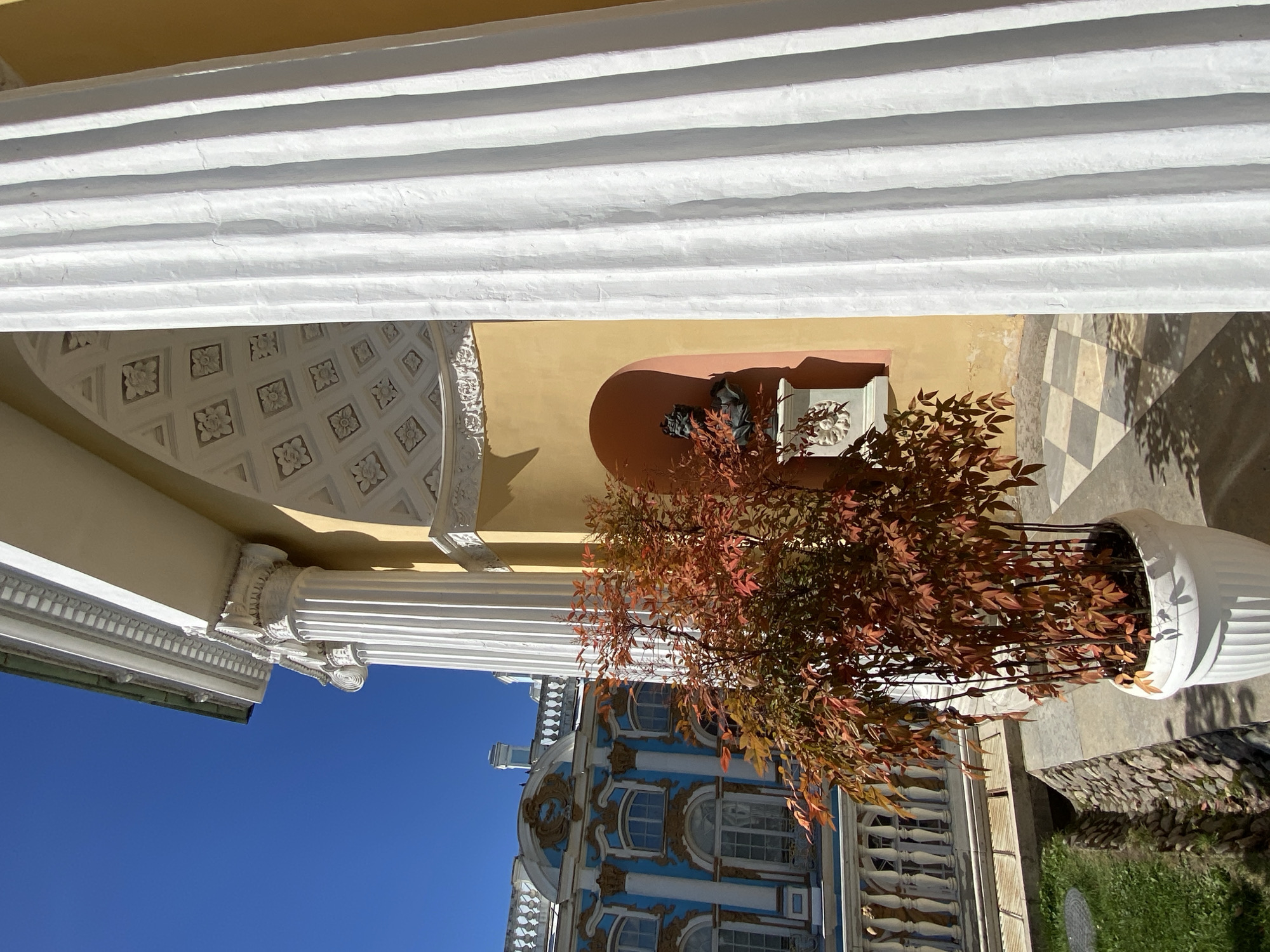 This image captures a bright, sunny day in the city of Pushkin, Russia, likely within the grounds of the Catherine Palace. In the foreground, a large white planter holds a decorative tree with vibrant red and orange leaves, its branches reaching towards the viewer. To the right, a massive, fluted white column dominates the frame, showcasing its textured surface and classical architectural style. Behind the column, a section of a yellow building with decorative friezes is visible. Further in the background, a strikingly blue building with ornate gold detailing and white columns can be seen, characteristic of Russian Baroque architecture. The sky is a clear, deep blue, and the sunlight casts sharp shadows across the checkered floor tiles and grassy areas. The overall scene evokes a sense of grandeur and historical significance, typical of the imperial estates in Pushkin.
