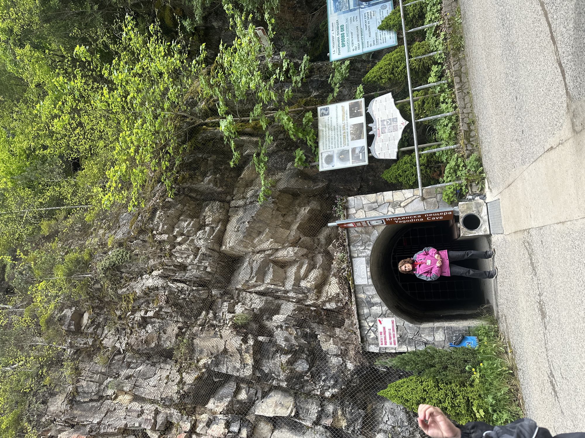 Here is a description of the image:
A woman stands at the entrance to Yagodina Cave, located in the city of Iagodina, Bulgaria. The entrance is a rounded archway made of stonework, recessed into a rocky cliff face covered with metal mesh and vegetation. Signage above the entrance provides information about the cave and its accessibility. The woman is dressed in a pink jacket and dark pants. The environment around the cave entrance includes trees, bushes, and a paved pathway. Additional signs are visible, possibly containing tourist information or other details about the location.
