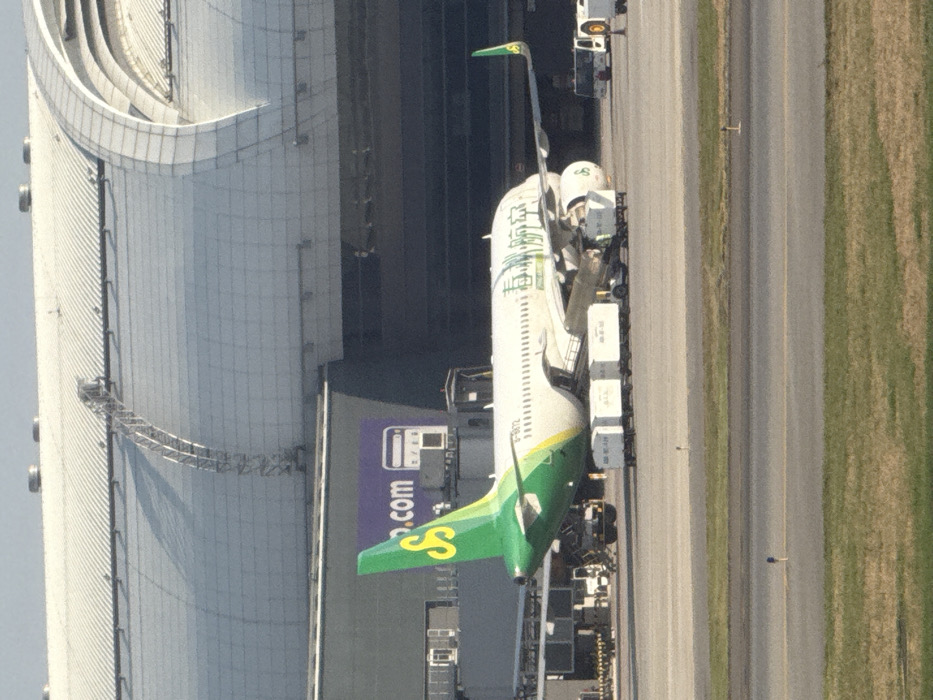 An Airbus A320-200 aircraft, bearing the registration B-6972 and painted in Spring Airlines livery (white fuselage with a green tail featuring a yellow 'S' logo, and Chinese characters on the forward fuselage), is parked on an asphalt airport apron under clear daylight conditions. The aircraft is positioned with its tail section towards the left of the frame, angled slightly away from the viewer.
To the left of the aircraft, a line of six white baggage or cargo container carts are aligned near the aircraft's fuselage, with a small ground service vehicle partially visible behind them. Another larger, yellow-and-white ground support vehicle, possibly a pushback tug, is positioned to the right of the aircraft, behind its right wing. No individual personnel are distinctly visible, but ground operations are implied by the presence of the equipment.
In the background, a large, modern airport terminal building is visible. It features a distinctive curved, light-colored metallic roof structure with multiple arched ribs and a dark grey lower section. A prominent purple banner or sign on the dark section displays "o.com" and a white graphic resembling a fuel pump or payment terminal, consistent with "trip.com". Elevated walkways or maintenance structures are visible on the roof.
The immediate foreground consists of a strip of dark green grass with small blue markers, transitioning to a grey asphalt surface, indicating a taxiway or runway beyond the apron where the aircraft is parked. The scene is located within Racha Thewa Subdistrict, Thailand, consistent with Suvarnabhumi Airport.