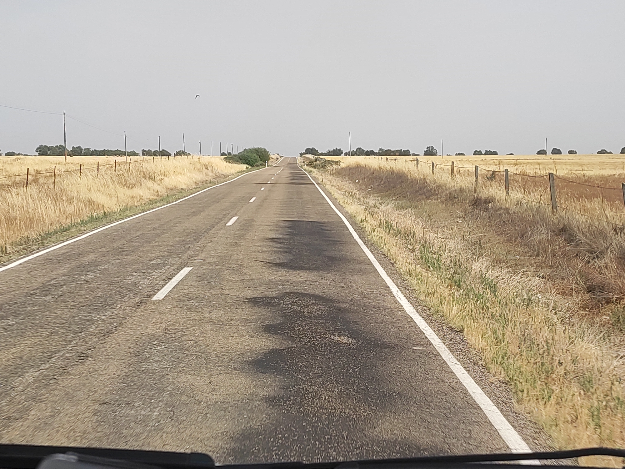 This is a photograph taken from a vehicle, looking forward down a two-lane asphalt road that is bordered by dry, yellow grass and sparse vegetation on both sides. Utility poles with power lines are visible along the roadside. In the distance, a line of trees and bushes forms a low horizon under an overcast sky. A small, dark object, possibly a bird or a kite, is visible in the upper left quadrant of the sky. The road surface shows some dark patches, indicative of oil or water stains. The foreground shows the top edge of a vehicle's windshield or dashboard. The scene depicts a rural landscape in the municipality of Bermillo de Sayago, Spain, during daylight hours.