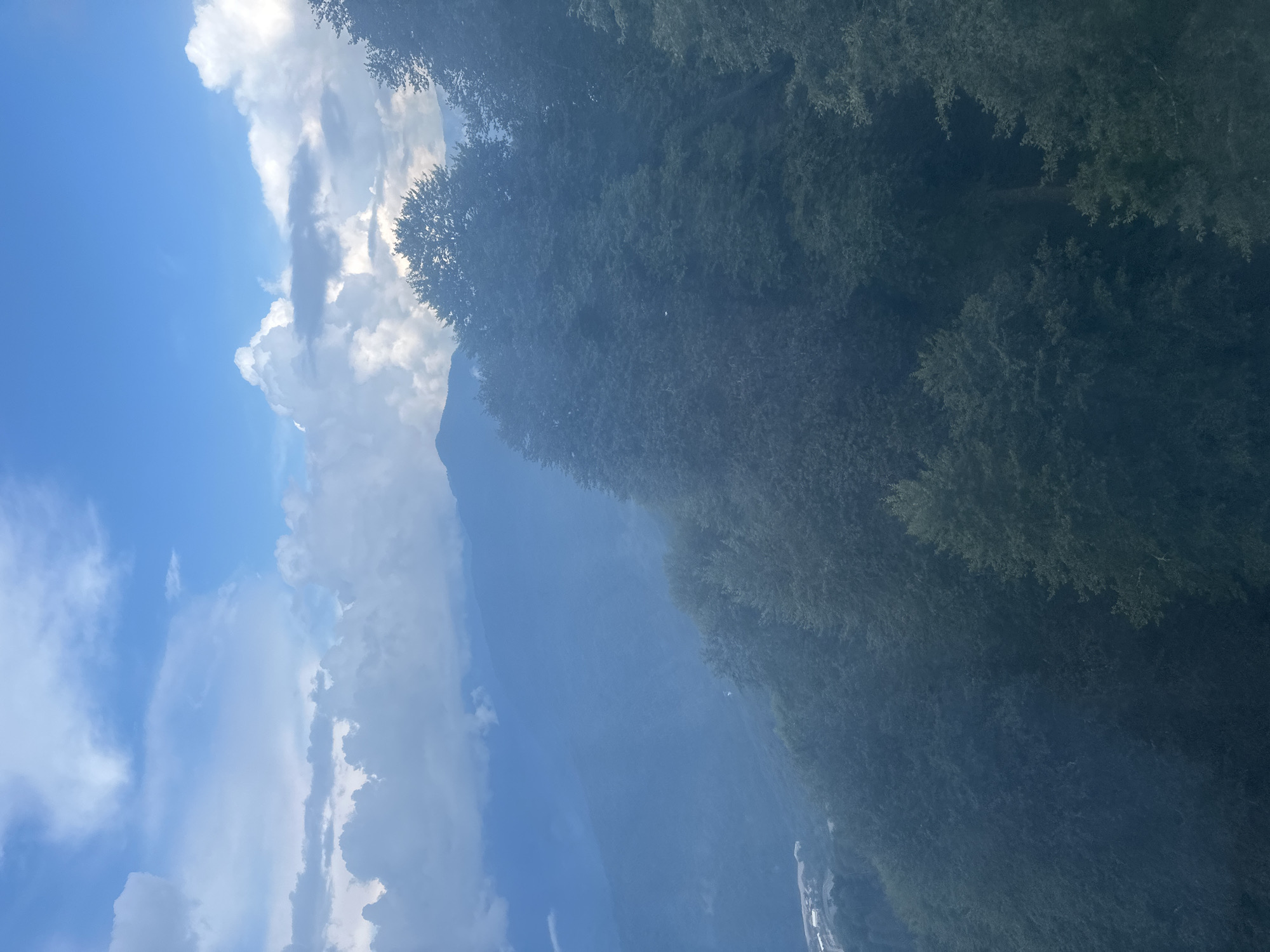 This is a landscape photograph taken in Estosadok, Russia, offering a view of a lush, forested mountain slope under a dynamic sky. The foreground is dominated by the dense, dark green foliage of trees, appearing almost silhouetted against the lighter background. The trees are varied in size and shape, with some larger, more mature trees standing out.
Further back, the mountain slopes recede into a hazy, blue-toned distance, indicating atmospheric perspective. Layers of mountains are visible, with the furthest ones appearing as faint outlines against the sky.
The sky is a significant element, featuring a mix of bright blue sky and large, dramatic clouds. Some clouds are white and fluffy, suggesting fair weather, while others are darker and more diffused, possibly indicating approaching weather or the shadow of other clouds. The light appears somewhat diffused, possibly due to cloud cover or atmospheric haze.
In the lower left portion of the image, a small section of a settlement or infrastructure is visible at the base of the mountain. This includes some buildings and what appear to be roads or pathways, suggesting the presence of human habitation or development within the natural landscape. The overall impression is one of a grand natural setting with a hint of human presence.