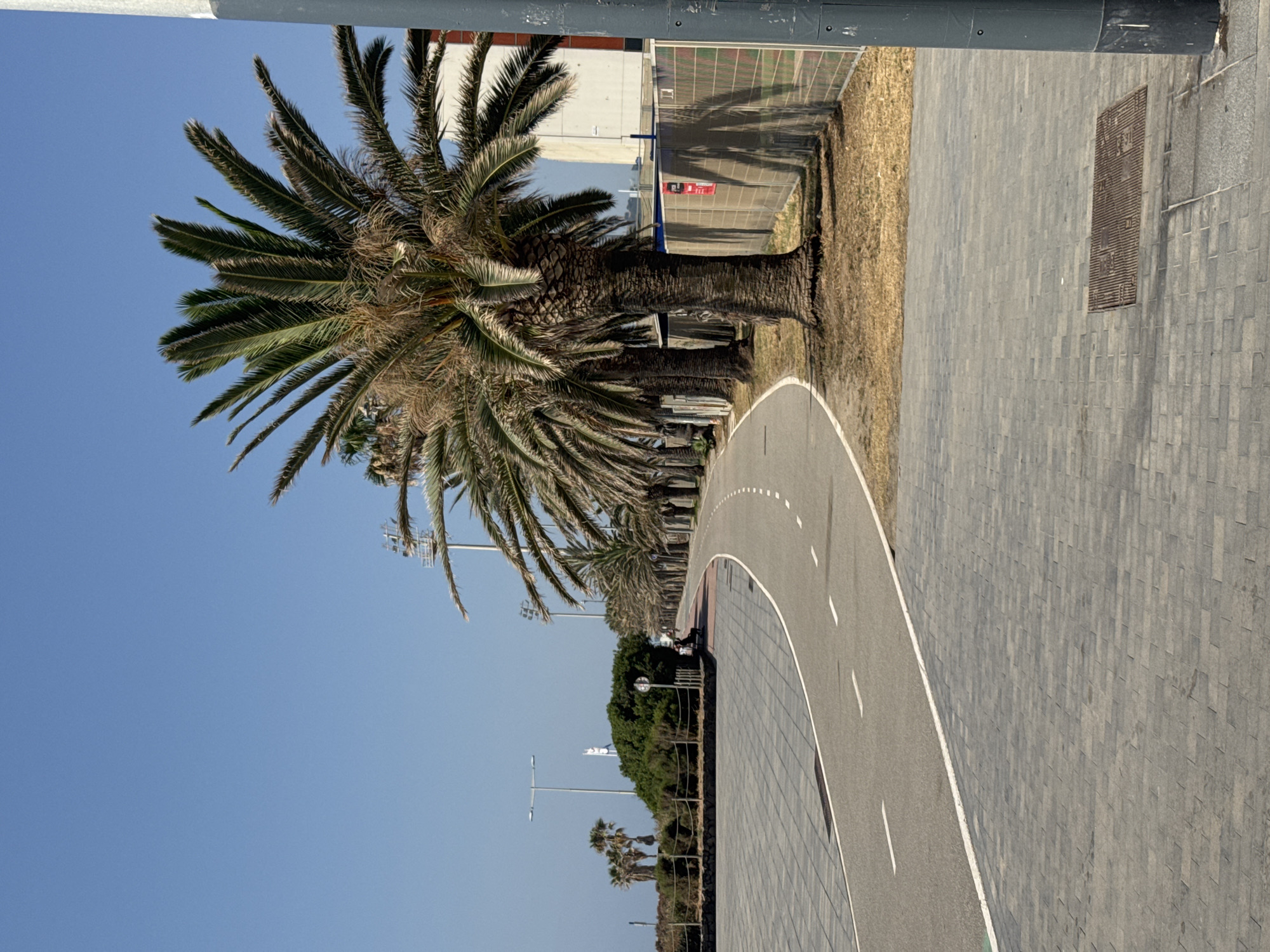 The image depicts a scenic view of a curved paved pathway lined with palm trees on the right, under a clear blue sky. The pathway appears to be a dedicated bike or pedestrian lane, marked with white dashed lines. On the left side of the pathway, there is a paved area with rectangular blocks, and further in the distance, a line of lush green trees and smaller palm trees. Along the right side of the pathway, a fence separates the pathway from a construction site, indicated by orange netting and some debris. A few people are visible in the distance, walking or sitting on a bench, suggesting a public recreational area. The presence of palm trees and the general atmosphere suggest a Mediterranean coastal location. Considering the visual cues, this scene is highly likely to be located along the coastline in Barcelona, Spain, possibly in an area like the Port Olímpic or a similar waterfront promenade.