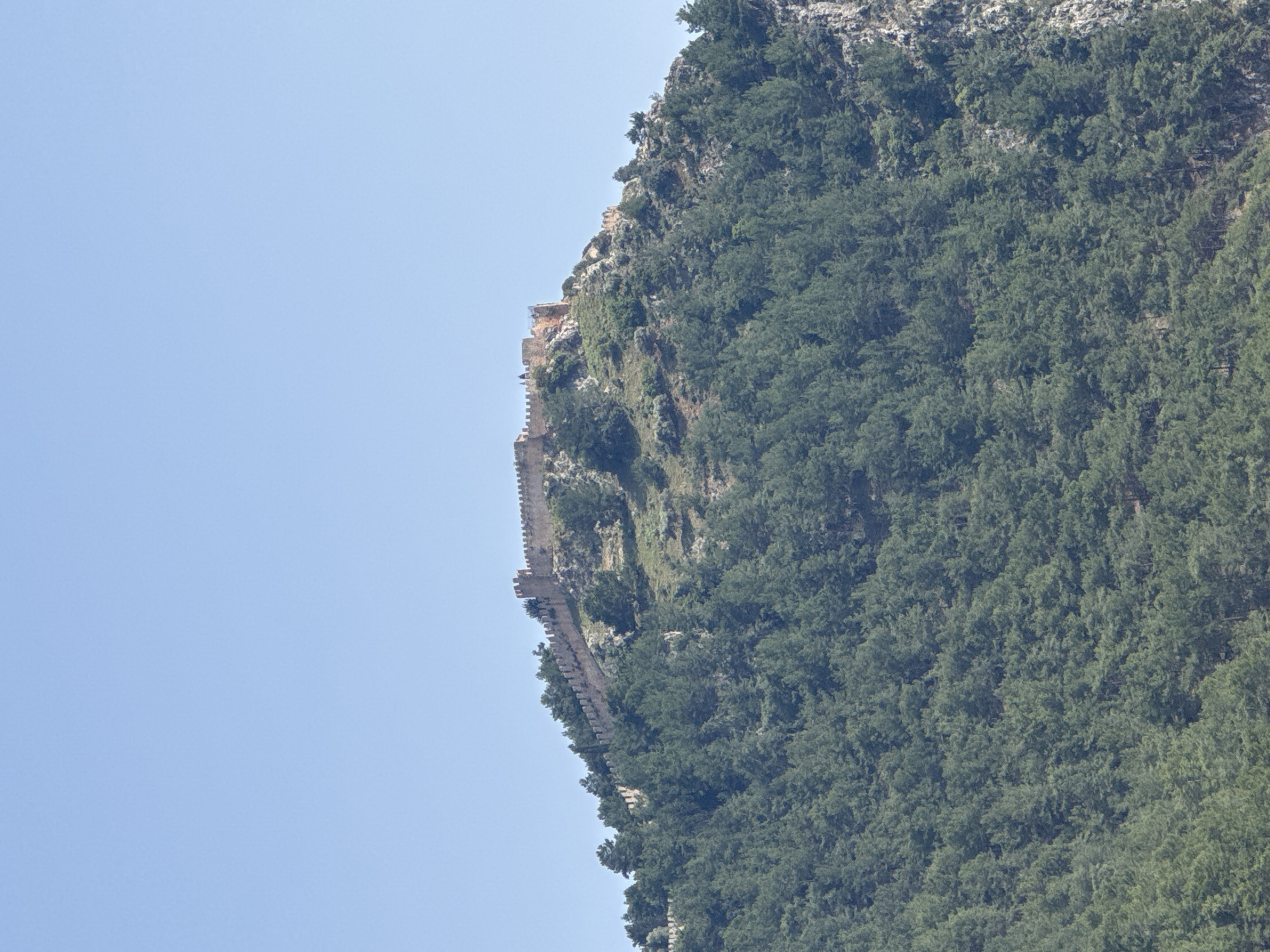 The image depicts a portion of the Alanya Castle walls, a medieval fortress located in Alanya, Turkey. The stonework walls are visible along the edge of a steep, forested cliff. The terrain is heavily vegetated with trees and scrub, covering the hillside. The sky above the hill is light blue.