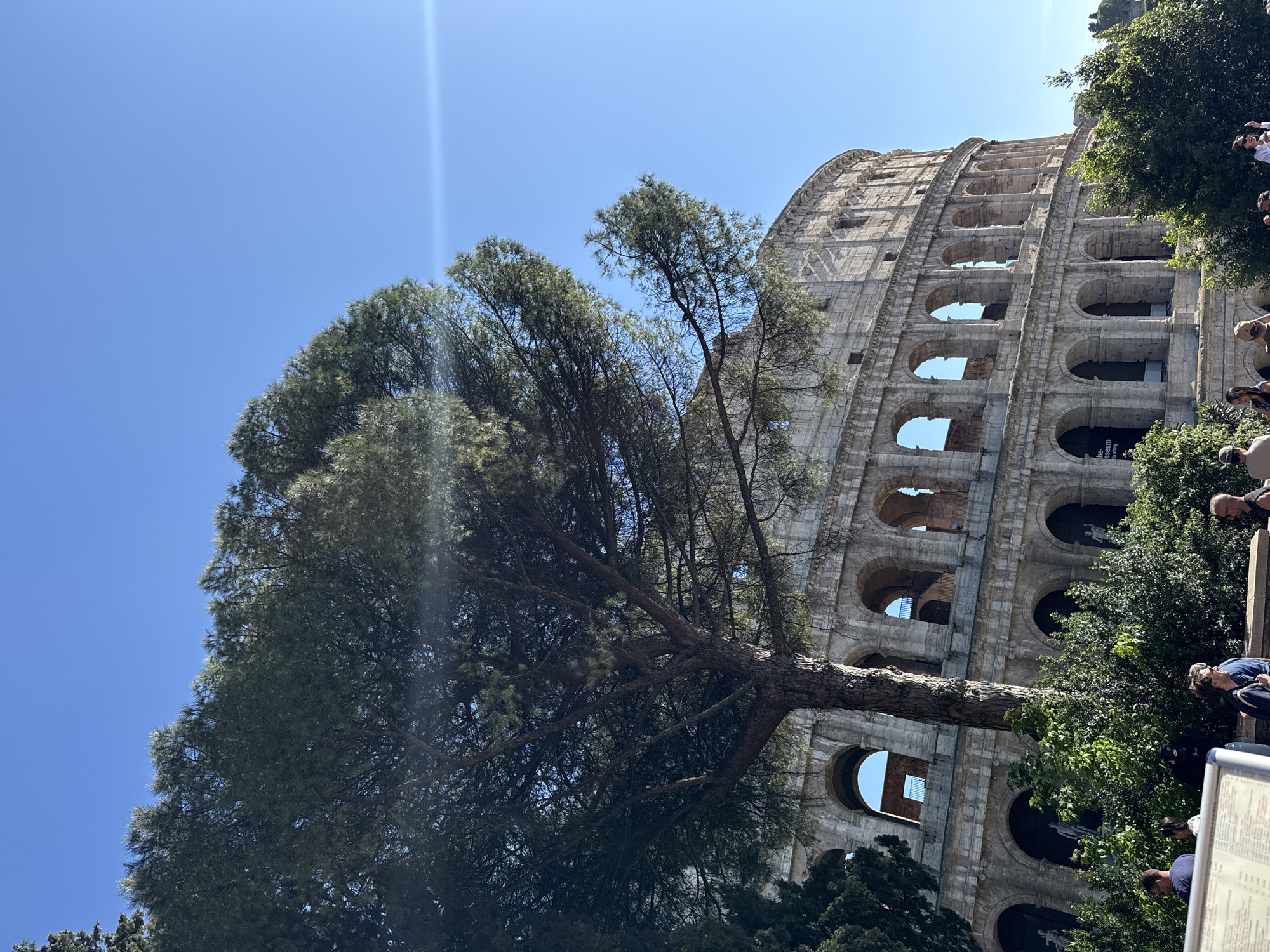 The image shows the Colosseum in Rome, Italy, viewed from below. A large tree obscures part of the Colosseum's lower levels on the left side of the frame. The sky is clear and blue. On the right side of the image, people and dense green foliage are visible.