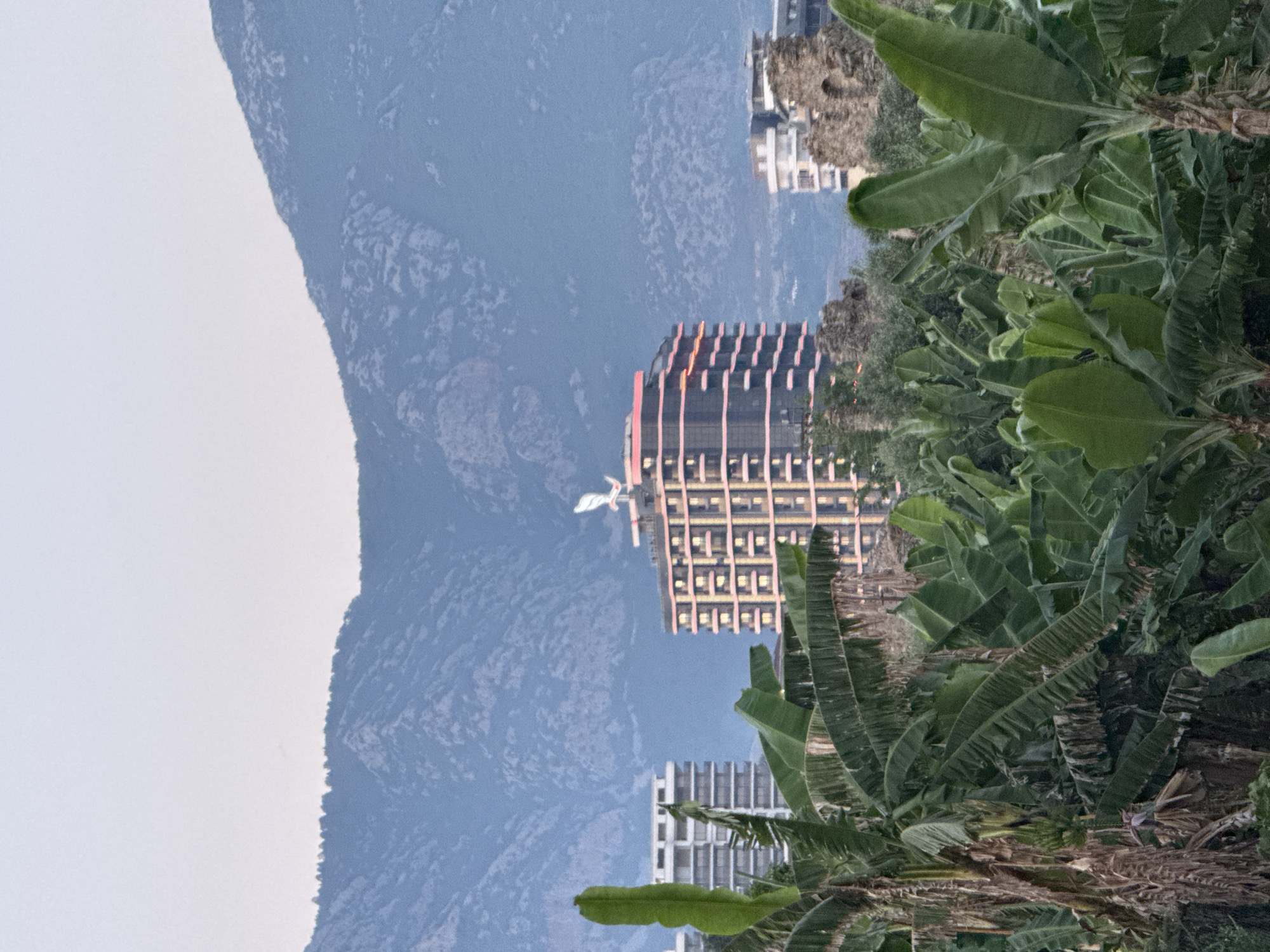 The image depicts a cityscape in Alanya, Turkey, dominated by lush banana trees in the foreground. Behind the foliage, several buildings are visible. To the left, a tall, modern white building stands out. In the center, a multi-story building with a distinctive bird-like sculpture on top and illuminated pink accents on its facade is prominent. Further to the right, there are ruins of an ancient structure and another modern building. In the background, a range of mountains stretches across the horizon under a pale sky. The scene appears to be captured during dusk or early morning, given the lighting.