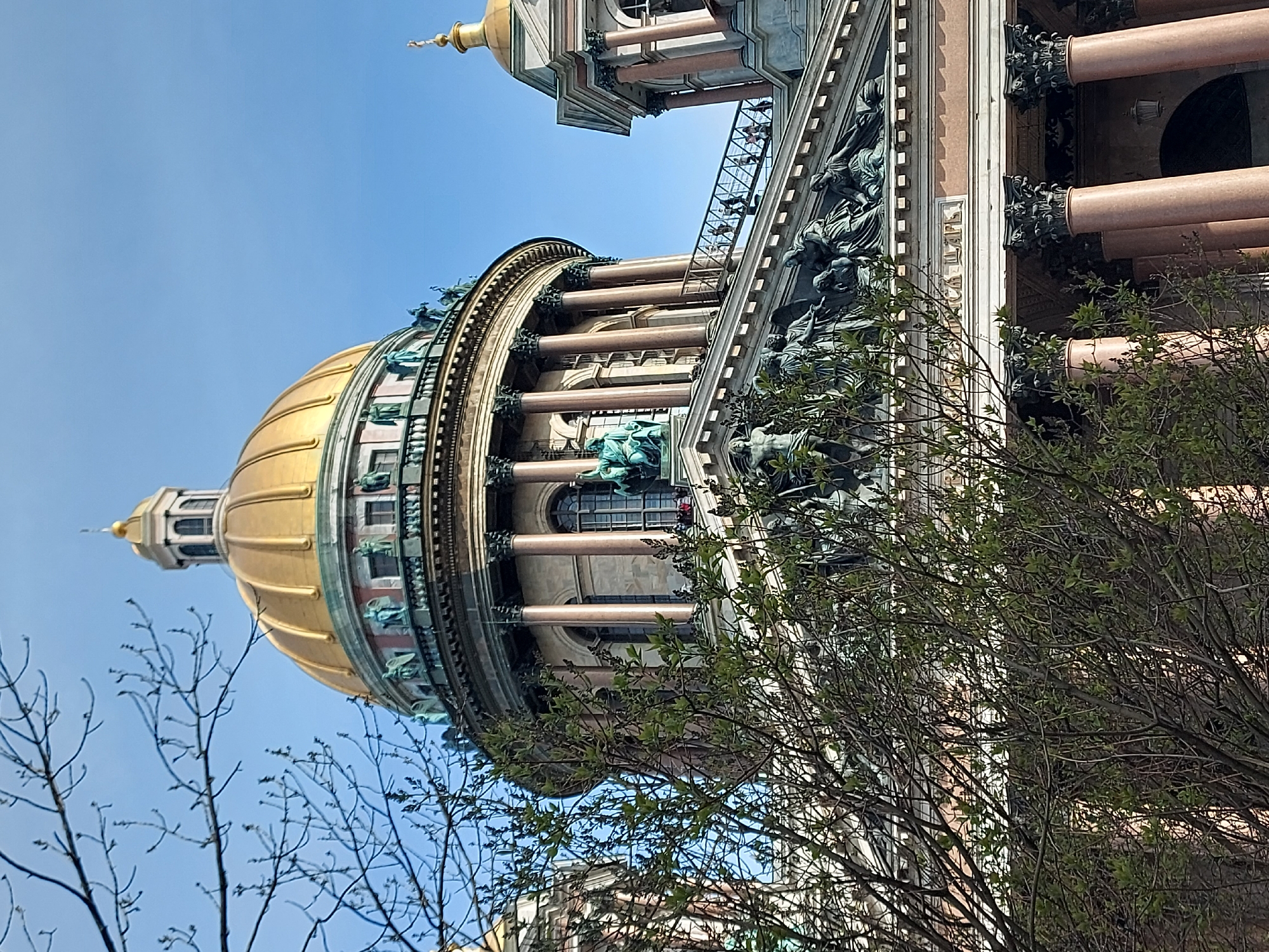 The image is a low-angle view of St. Isaac's Cathedral in Saint Petersburg, Russia. The cathedral's golden dome dominates the left side of the frame, with the smaller dome of the bell tower visible above it. The facade of the building features columns, sculptures, and decorative elements. In the foreground, bare branches and budding leaves of trees are visible, partially obscuring the view of the building. The sky is a clear blue.