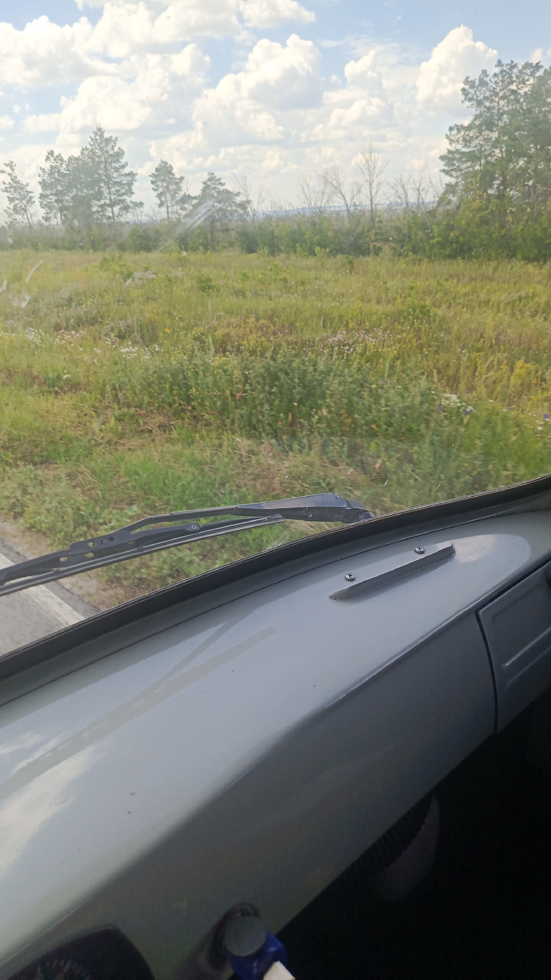 The image shows a view from inside a vehicle, looking out through the windshield at a rural landscape. The dashboard of the vehicle is visible in the foreground, a light gray color with a black windshield wiper arm. Beyond the windshield, a field of green grass and wildflowers stretches towards a line of trees. The sky is blue with fluffy white clouds. The scene is likely located in the countryside near Rybushka, Russia, given the typical rural scenery of the region. There are no people or specific actions depicted in the image. The focus is on the natural environment viewed from within the vehicle.