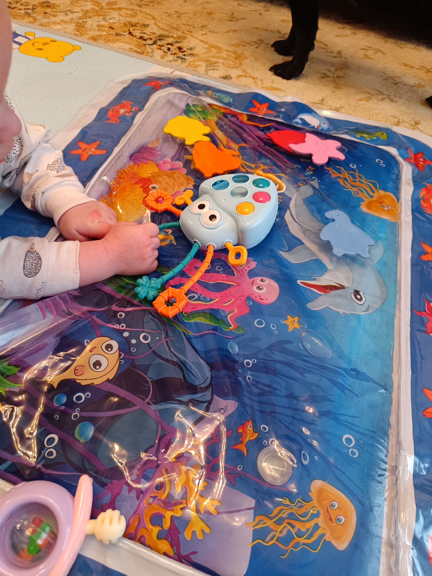 A baby is playing with toys on an inflatable water mat with an ocean theme. The mat is blue and white with drawings of sea creatures. The baby's arms and hands are visible. The toys include a light blue toy with colorful buttons and attachments, a purple toy, and several orange and yellow toys. The mat is placed on a carpeted floor. A person's legs and feet are visible in the upper right corner of the image. The location is not specified.