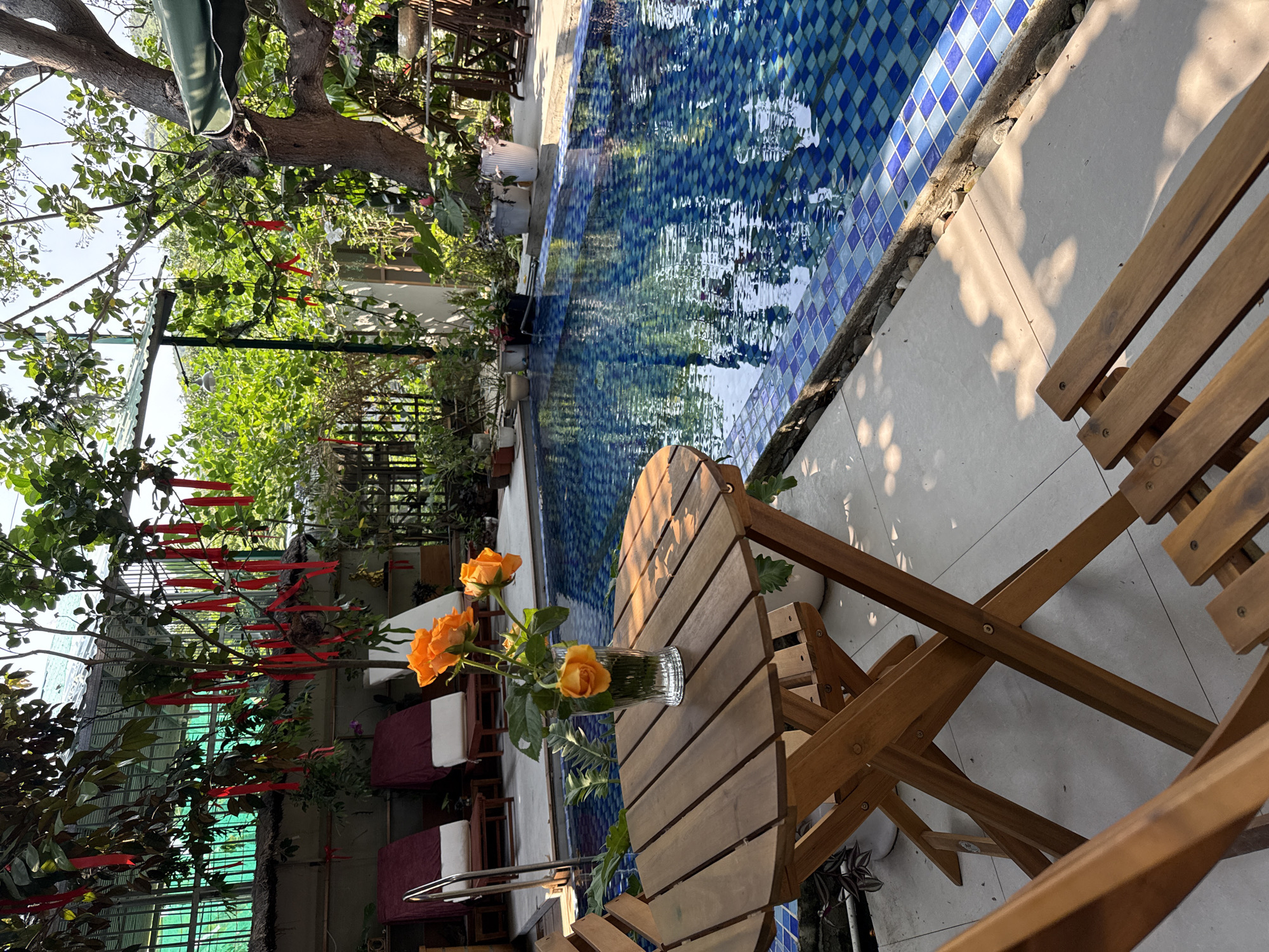 A sunlit outdoor scene in Bac Natural Heritage Area Trang, Vietnam, features a wooden table and chairs beside a pool with blue tile. A vase of orange roses sits on the table. Trees and foliage surround the area, some adorned with red ribbons. Lounge chairs are visible in the background.