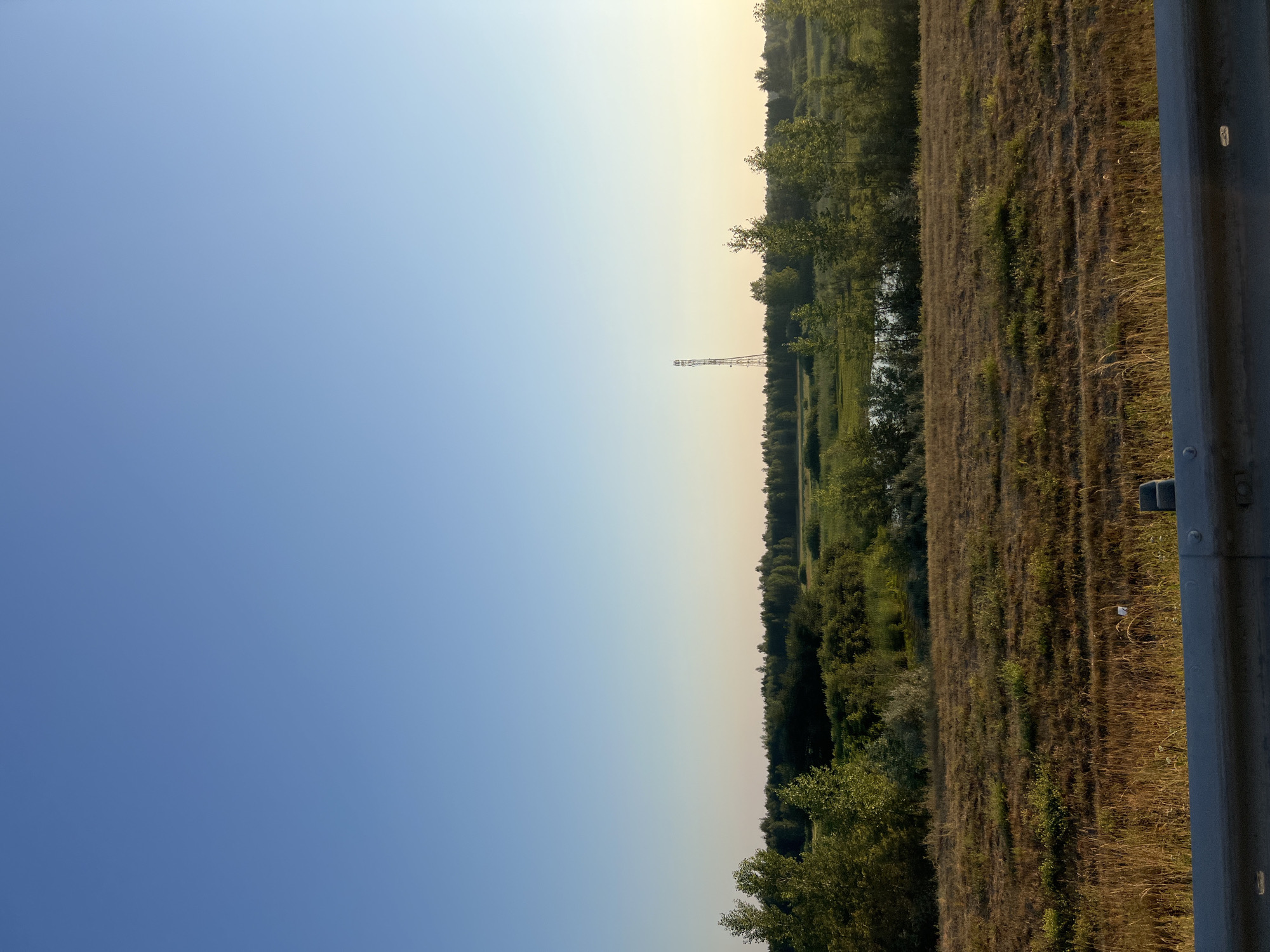The image depicts a wide shot of a rural landscape, likely near Katkovskii, Russia. The sky is a clear, pale blue, transitioning to a lighter hue near the horizon where it meets a dense line of green trees. In the middle ground, a body of water, possibly a river or a marshy area, is visible amidst the foliage. A tall, slender transmission tower stands prominently in the distance, situated within the tree line. In the foreground, a dry, grassy field stretches out, with a grey metal guardrail running along the bottom edge of the frame. The overall scene suggests a tranquil, undeveloped natural environment, characteristic of the Russian countryside during daylight. There are no people or specific actions depicted.