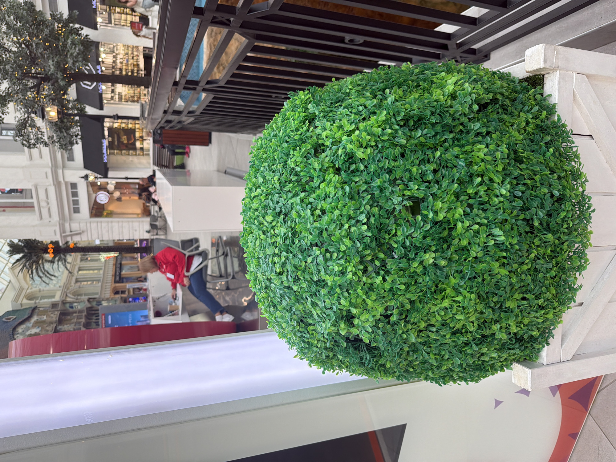 This is a photograph of a large, spherical topiary plant in a bright, indoor setting, possibly a mall or a large atrium. The topiary is vibrant green and fills a significant portion of the right side of the frame. It is contained within a white, wooden planter box. In the background, a person wearing a red jacket and dark pants is visible, appearing to be looking down or working on something. Beyond the person, there are storefronts with awnings and displays, suggesting a commercial environment. Some trees with lights are also visible, hinting at festive or decorative elements. The overall lighting is bright and diffused, indicating it is daytime or well-lit indoors. The image is oriented vertically, with the topiary appearing on the right.