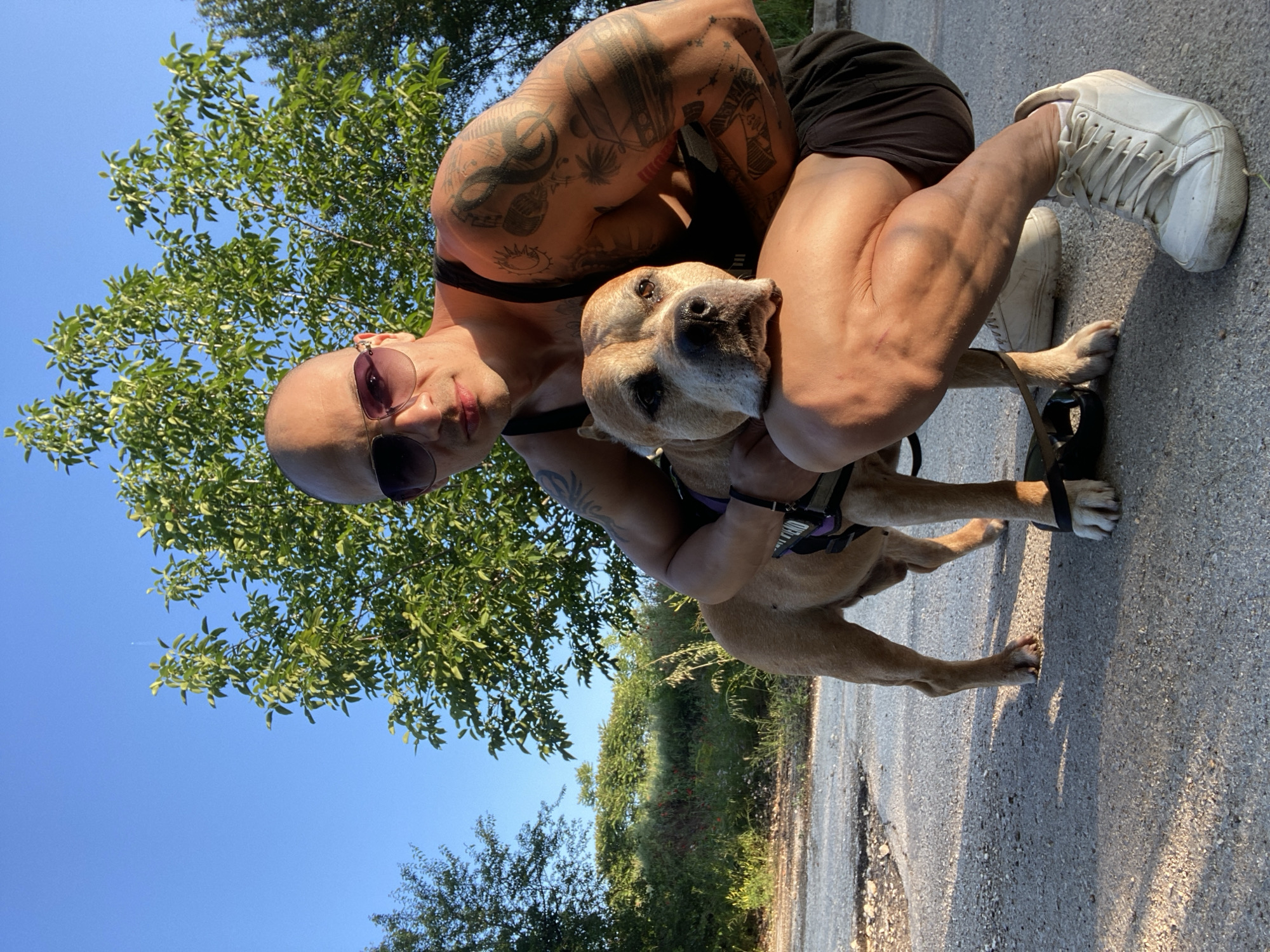 A photograph, rotated 90 degrees clockwise, captures a bald, muscular man with extensive black tattoos on his arms and shoulders, crouching down and embracing a light brown dog. The man wears sunglasses, a dark tank top, and shorts, along with white sneakers. His left leg, visible in the foreground, shows pronounced muscle definition. The dog, possibly a pitbull-type breed, wears a dark harness and has its head resting against the man's chest, looking up towards the viewer. The interaction appears affectionate and calm.
The setting is outdoors in Pleven, Bulgaria, under a clear, bright blue sky. Lush green trees and foliage are prominent in the background and along the edges of the frame. The subjects are positioned on a paved surface, likely a road or path, which shows signs of wear with visible cracks and gravel. Long shadows are cast on the ground, indicating either early morning or late afternoon sunlight. The weather is clear and sunny. No visible text is present in the image.