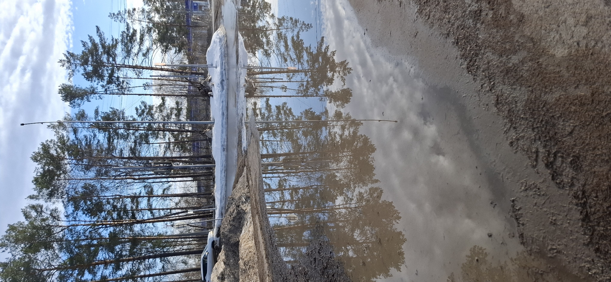 The image depicts an outdoor scene in Chaikovsky, Russia, located near Volzhskiy Prospekt, 11, adjacent to the Gazprom Neft gas station. The view is from an unpaved, muddy area, likely a shoulder, looking across a paved road towards a line of trees and a gas station structure.
The immediate foreground is dominated by a large, irregular puddle of muddy brown water, occupying the lower half of the frame. The water surface accurately reflects the sky, tall trees, and utility poles above. The visible edge of the puddle consists of dark brown, churned earth and mud, transitioning to a drier, textured dirt surface on the lower right.
In the midground, beyond the puddle, a mound of dark, dirty melting snow mixed with earth is present on the left. To its right, a section of a paved road is visible, appearing damp. Further across this road, additional irregular piles of dirty snow and ice are scattered. A white SUV, possibly a crossover vehicle, is partially visible on the far left side of the paved road, oriented with its rear facing the camera.
The background features a dense line of tall, slender pine trees with dark green needles, extending horizontally across the upper middle section of the image. Several bare deciduous trees are interspersed among the pines, indicating a late winter or early spring environment. Multiple tall, grey utility poles are positioned along the far side of the road and among the trees; one pole on the left displays communication equipment, including cellular antennas. To the far right, partially obscured by the trees, is a structure with blue architectural elements and white signage, consistent with a gas station canopy. A white sign with the number "12" and a blue border is faintly discernible on this structure, likely indicating a pump island. The sky above is bright blue with scattered white, cumulus clouds. No people or overt actions are visible in the scene.