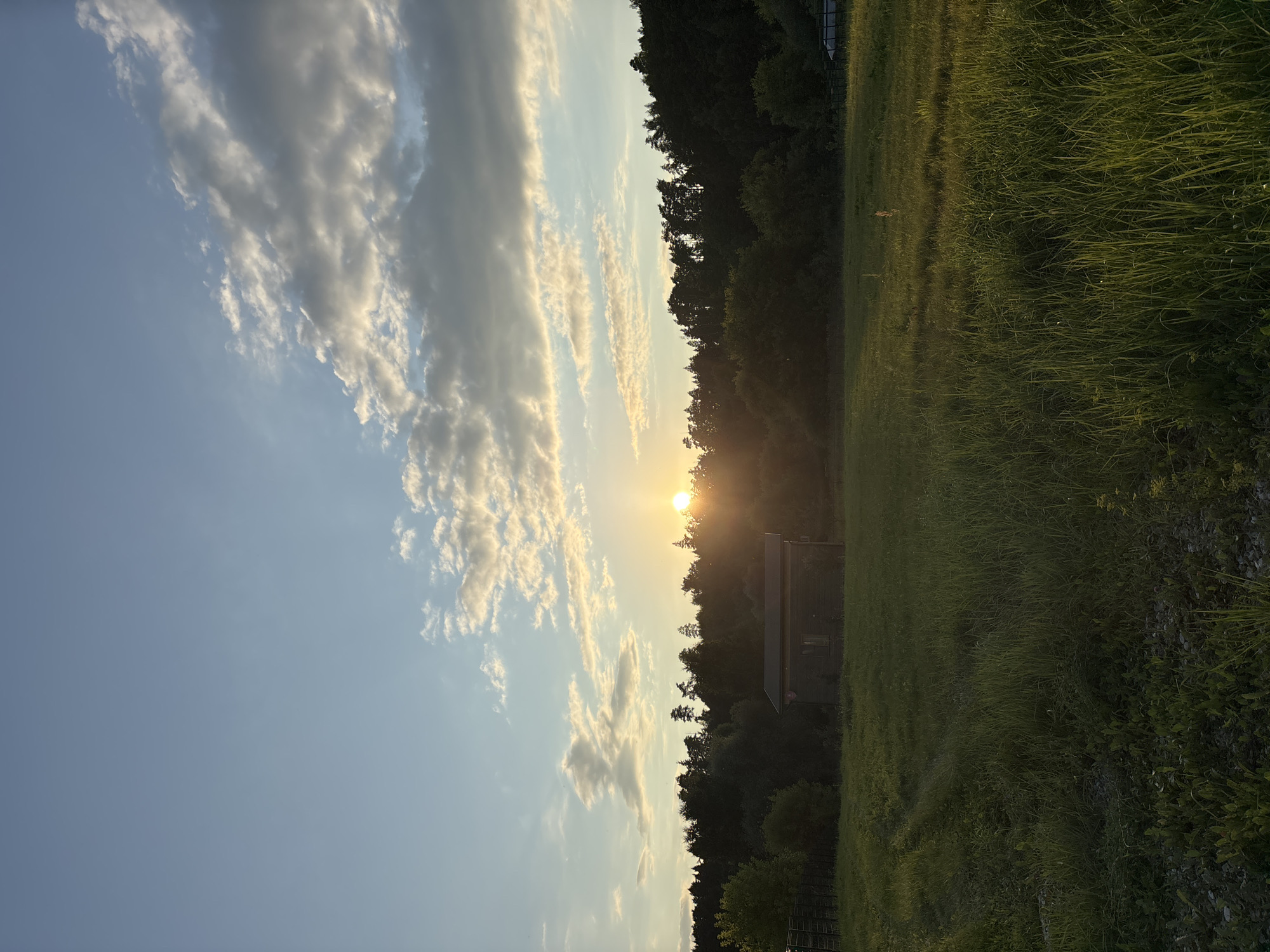 The image depicts a rural landscape at sunset in Zvenigorod, Russia. A grassy field occupies the foreground, with a wooden building visible in the middle ground. Behind the building, a dense forest forms the backdrop. The sun is setting on the right side of the frame, casting a warm glow across the sky and illuminating the clouds. The sky is a gradient of blue and orange, with scattered white clouds. The overall scene is serene and tranquil, evoking a sense of peace and natural beauty.