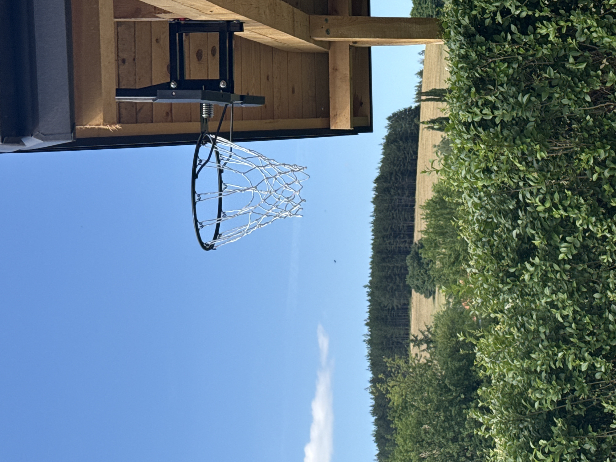 In the city of Sulitsa, Bulgaria, a basketball hoop with a white net is mounted on the wooden exterior of a building. The hoop is visible against a bright blue sky with a few scattered white clouds. In the foreground, a dense green hedge occupies the lower portion of the frame. Behind the hedge, a line of trees forms a dark green band across the middle ground, beyond which lies a sunlit, grassy hillside. The scene appears to be an outdoor recreational area, possibly a backyard or park.