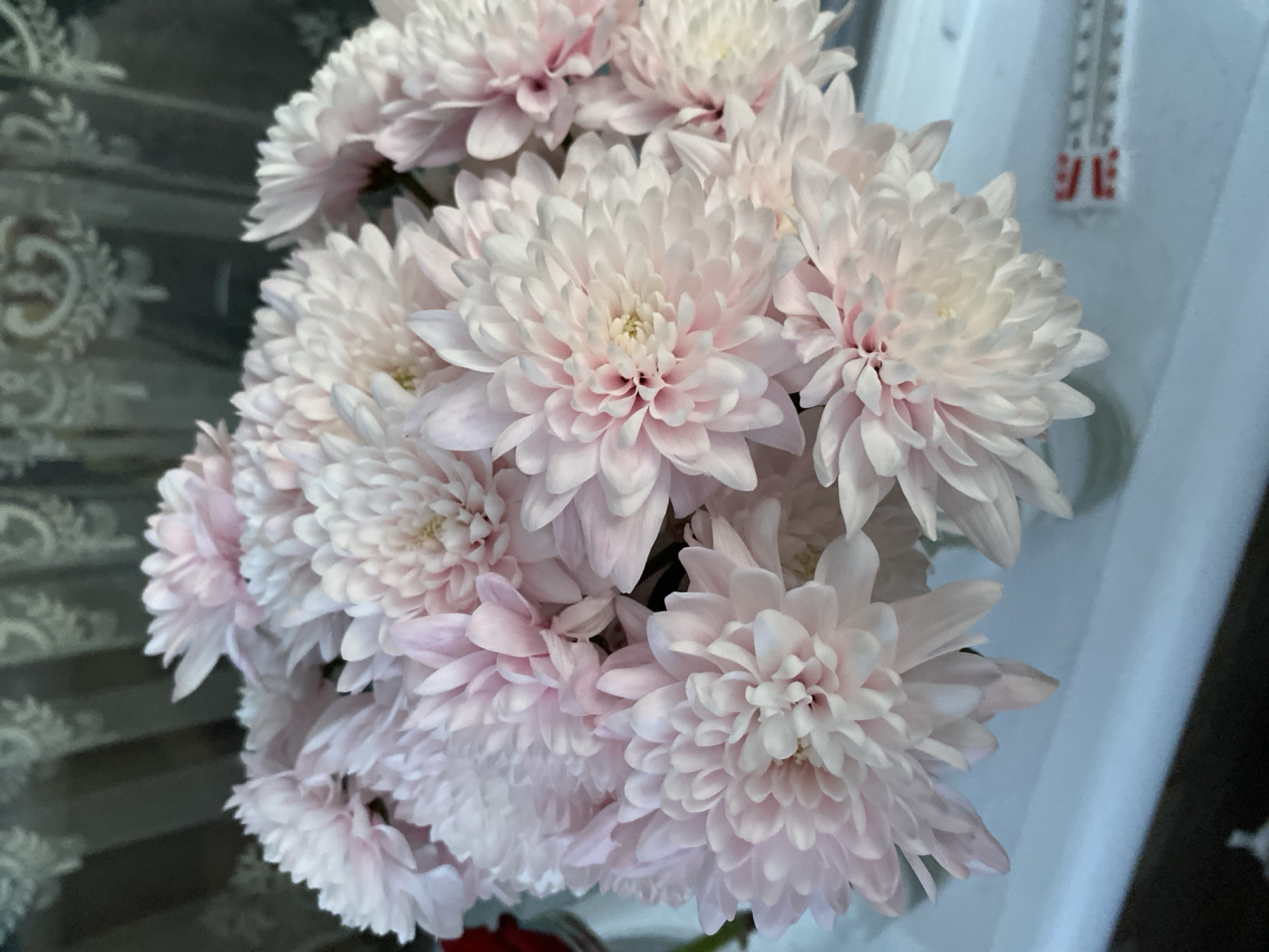 The image captures a close-up, high-angle view of a vibrant bouquet of light pink and white chrysanthemum-like flowers. The blossoms are densely packed, showcasing numerous delicate petals that fade from light pink at their tips to a paler white, with hints of yellow-green in their centers.
The background is divided into two distinct sections. On the left, a dark, reflective surface, possibly glass or polished wood, features an ornate, light-colored, damask-like pattern. This surface reflects light and parts of the flowers. On the right, a vertical, light blue or white object is visible, identified as a thermometer. Red numerical markings are clearly legible on its scale, including what appears to be "96" and "97", suggesting it is a medical or fever thermometer, likely displaying temperatures in Fahrenheit.
The scene depicts an indoor setting, likely a domestic environment, with no discernible activity taking place beyond the arrangement itself. The flowers appear fresh and healthy.