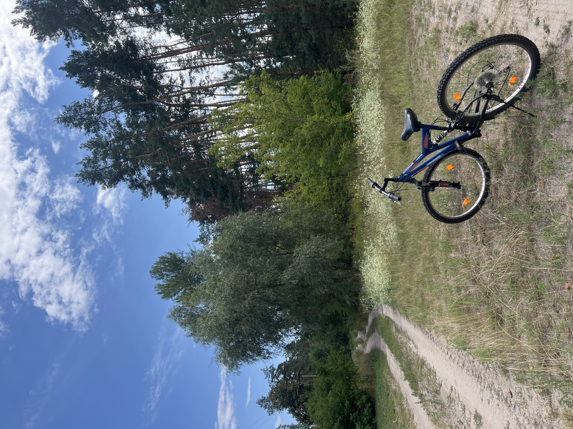 A blue and red mountain bike is parked on a sandy dirt road that curves through a grassy field. The road is flanked by vegetation, including tall trees and bushes. In the background, a dense forest of pine trees stands under a blue sky with scattered white clouds. The bike is upright, supported by its kickstand, with its wheels turned slightly to the left. The scene appears to be in a rural area outside of Korobivka, Ukraine, given the typical landscape of forests and unpaved roads often found in the region. There are no people or animals visible in the image.
