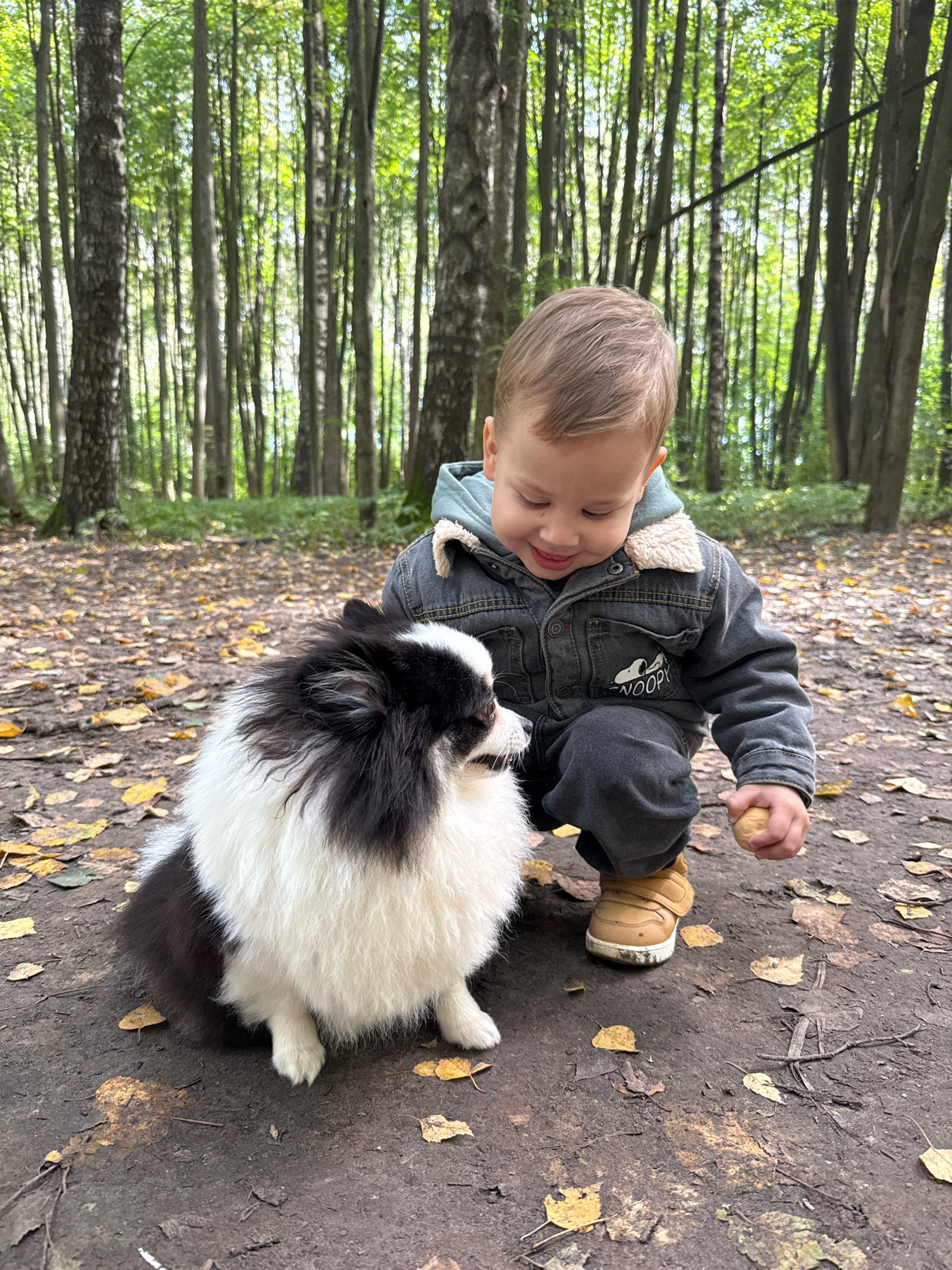 A young child, possibly a toddler, wearing a dark denim jacket with a sherpa collar and dark pants, is crouching down in a forest. The child is looking at a small, fluffy black and white dog that is sitting in front of them. The child is holding a small, light brown, round object in their right hand. The ground is covered with dirt and fallen leaves, suggesting an autumn setting. The background is a dense forest with tall trees and dappled sunlight. The location is specified as the city of Rusanovo, Russia.