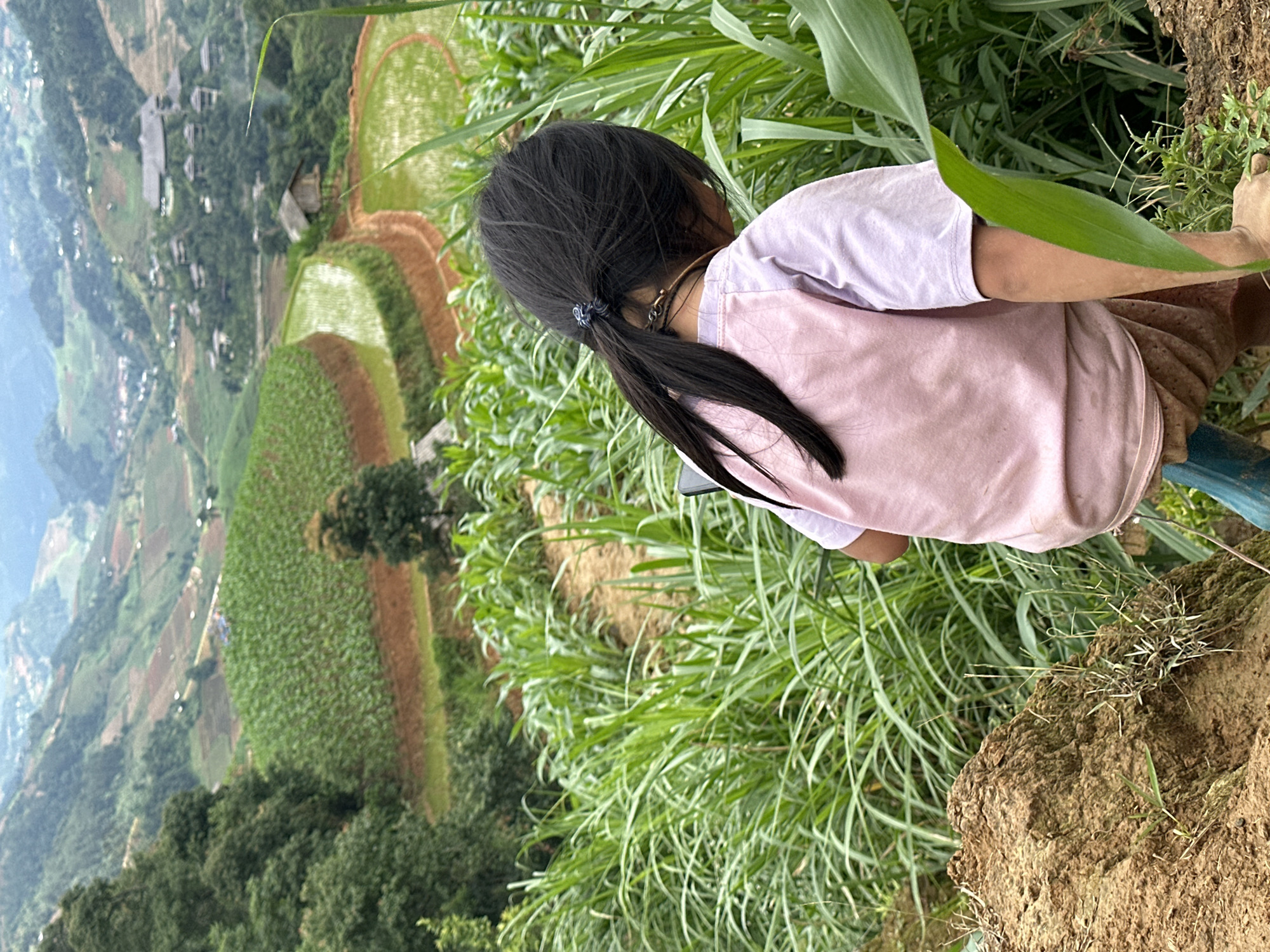 A child with dark hair tied back in a ponytail, wearing a light pink t-shirt and light brown shorts, is seen from behind, looking forward or downward, navigating a natural path. A dark object, possibly a phone, is visible near their left hip. The immediate foreground includes a substantial reddish-brown soil mound on the left and dense, tall green plant stalks, likely corn, on the right. The midground reveals the terraced agricultural landscape of Dế Xu Phình, Vietnam, featuring a large, irregularly shaped terraced field filled with a vibrant green crop, presumably corn, on the left. Below this, two smaller, crescent-shaped rice paddies filled with water and young green rice plants are discernible, separated by reddish-brown earth berms. A small, simple wooden house stands between these lower paddies. The background consists of multiple layers of green, tree-covered mountains, with numerous scattered buildings, including some larger structures with dark roofs, indicating a settlement or resort area. The sky is overcast, casting a soft, diffused light over the scene.