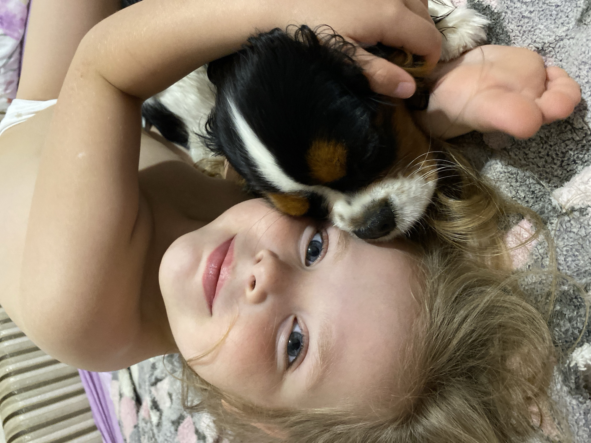 The image shows a close-up, rotated view of a young child and a dog. The child's face is in focus, with blue eyes and blonde hair. The child is holding a small, tri-colored dog, likely a Cavalier King Charles Spaniel, close to their face. The dog has black, white, and tan markings. The child is wearing white undergarments. They appear to be lying on a bed with a striped headboard and a grey, patterned blanket. The scene is indoors, and there is no information to suggest a specific location in Votkinsk, Russia.