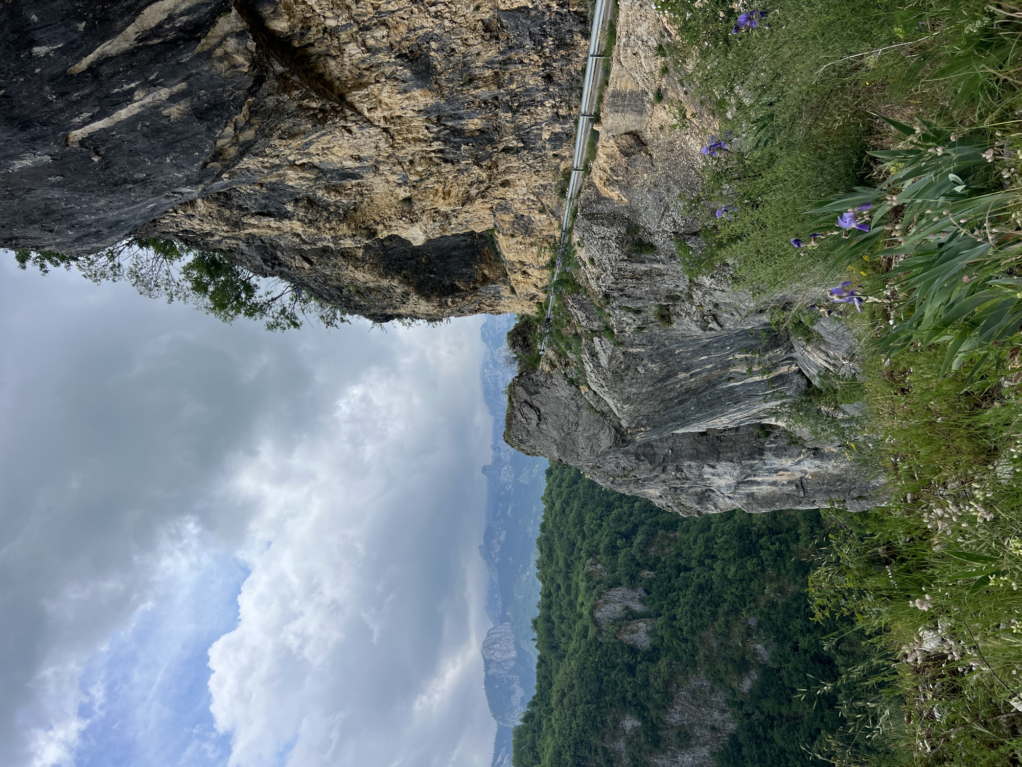This vertical landscape image, when viewed upright, presents a dramatic mountainous scene, likely a deep canyon or gorge. Towering, rugged rock cliffs dominate the foreground and left side, displaying a mosaic of dark grey, black, and lighter tan-brown hues, with evident stratification and textures. Small trees and sparse vegetation cling precariously to the cliff faces.
Across the mid-ground, a narrow road or path is carved into the sheer rock wall, featuring a continuous metal guardrail that follows its curve. To the right, the immediate cliff edge is covered with dense green grass, various shrubs, and several clusters of vibrant purple flowers, likely irises, which add a splash of color.
Beyond these immediate features, the view extends into a vast expanse of rolling hills and distant mountains, all heavily covered in lush green forest. The sky above is largely overcast with a mix of dark grey and lighter clouds, hinting at a potentially variable or impending weather pattern, though some brighter sky is visible between cloud masses.
No human activity or individuals are visible. The scene emphasizes the grandeur and raw beauty of the natural environment, with the man-made path providing a sense of scale and human presence within the rugged landscape. The time of day appears to be daytime, under predominantly cloudy conditions. The location context for this striking scenery is Duži, Montenegro. There is no visible text in the media.