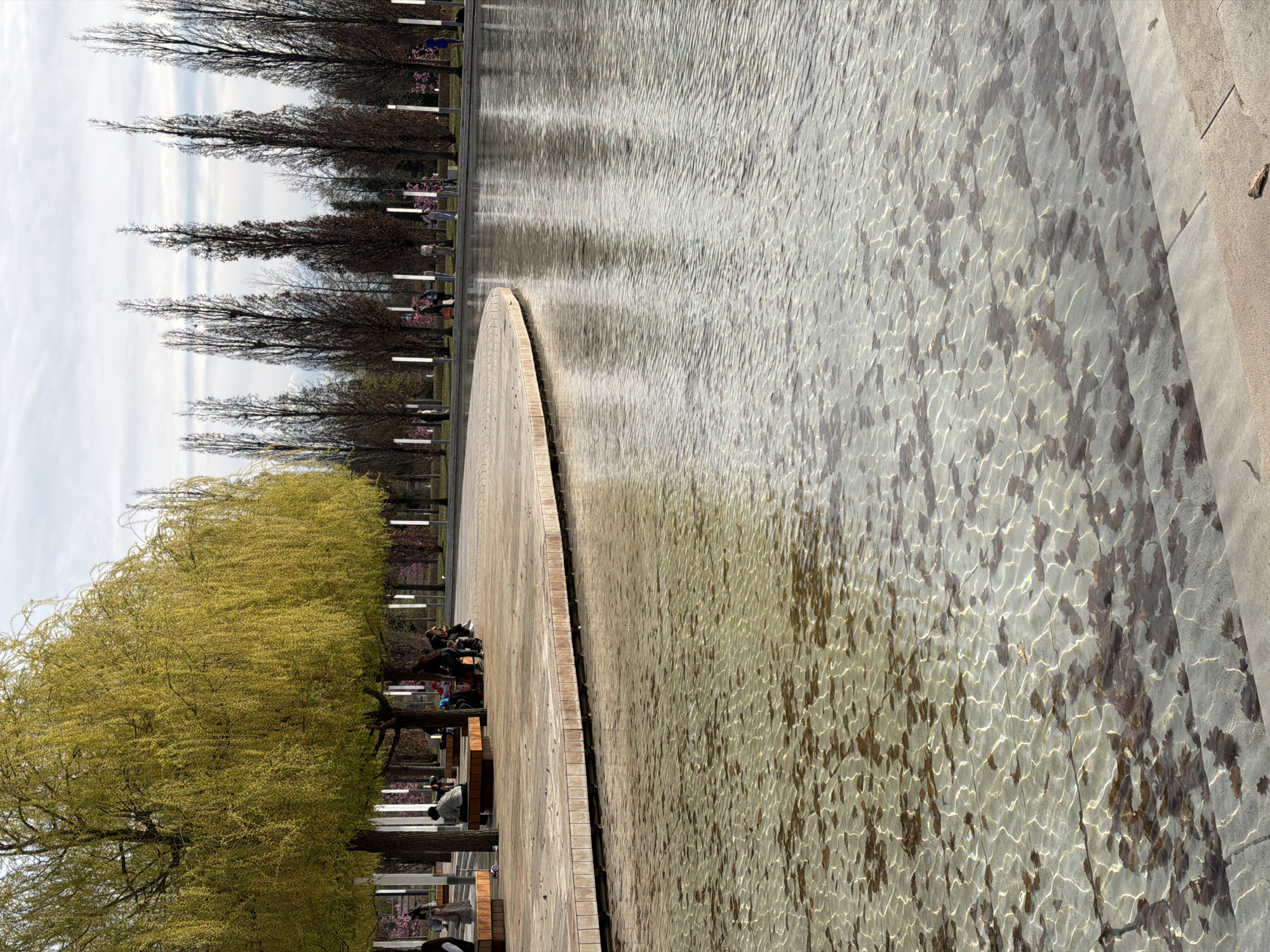 The image shows a scenic view of a park in Krasnodar, Russia. The scene features a large body of water with a circular wooden deck extending into it. People are sitting and relaxing on benches along the deck's edge. Trees line the perimeter of the water feature, with some in full green foliage and others still bare or with budding leaves, suggesting it is spring. The water appears clear, and the bottom is visible. The sky is overcast.