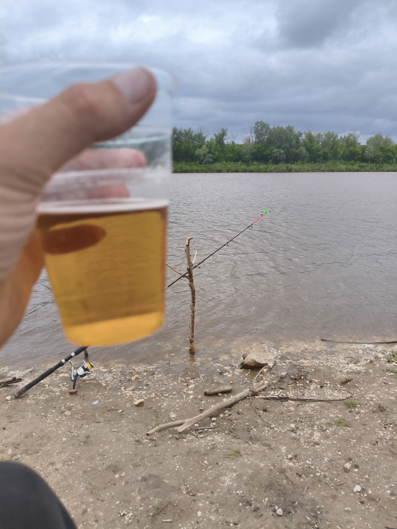 A person's hand is holding a clear plastic cup filled with a golden-yellow liquid, presumably beer, in the foreground, slightly blurred. The cup is held up towards the viewer, obscuring part of the background. In the middle ground, a river or large body of water extends across the frame. On the bank of the water, there is a fishing rod with a reel, set up with a line in the water. A small, broken stick is propped up in the water, seemingly supporting the fishing line. The riverbank is composed of dirt, sand, and small pebbles, with some scattered driftwood. In the background, across the water, is a dense line of green trees and foliage, forming the opposite bank. The sky above is overcast and cloudy, suggesting a gray or possibly rainy day. The scene appears to be a recreational fishing spot.