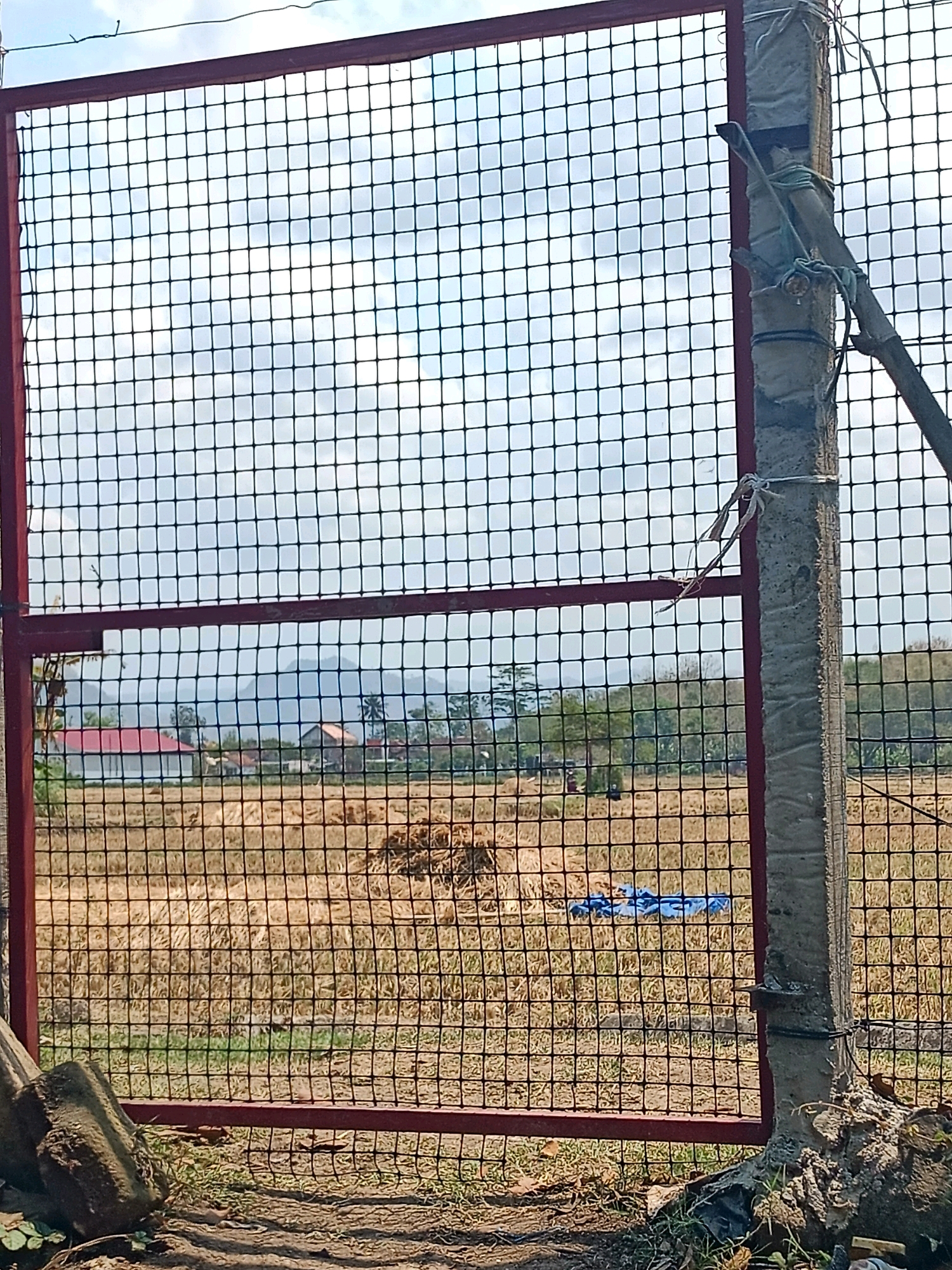 The image shows a wire mesh gate with a red frame, secured to a concrete post. The gate is partially open, revealing a rural landscape beyond. In the distance, there are several buildings with red roofs, surrounded by trees. The ground in the foreground is covered with dry grass and some scattered debris. The sky is cloudy. The scene appears to be in a rural area of Ngadirenggo, Indonesia.