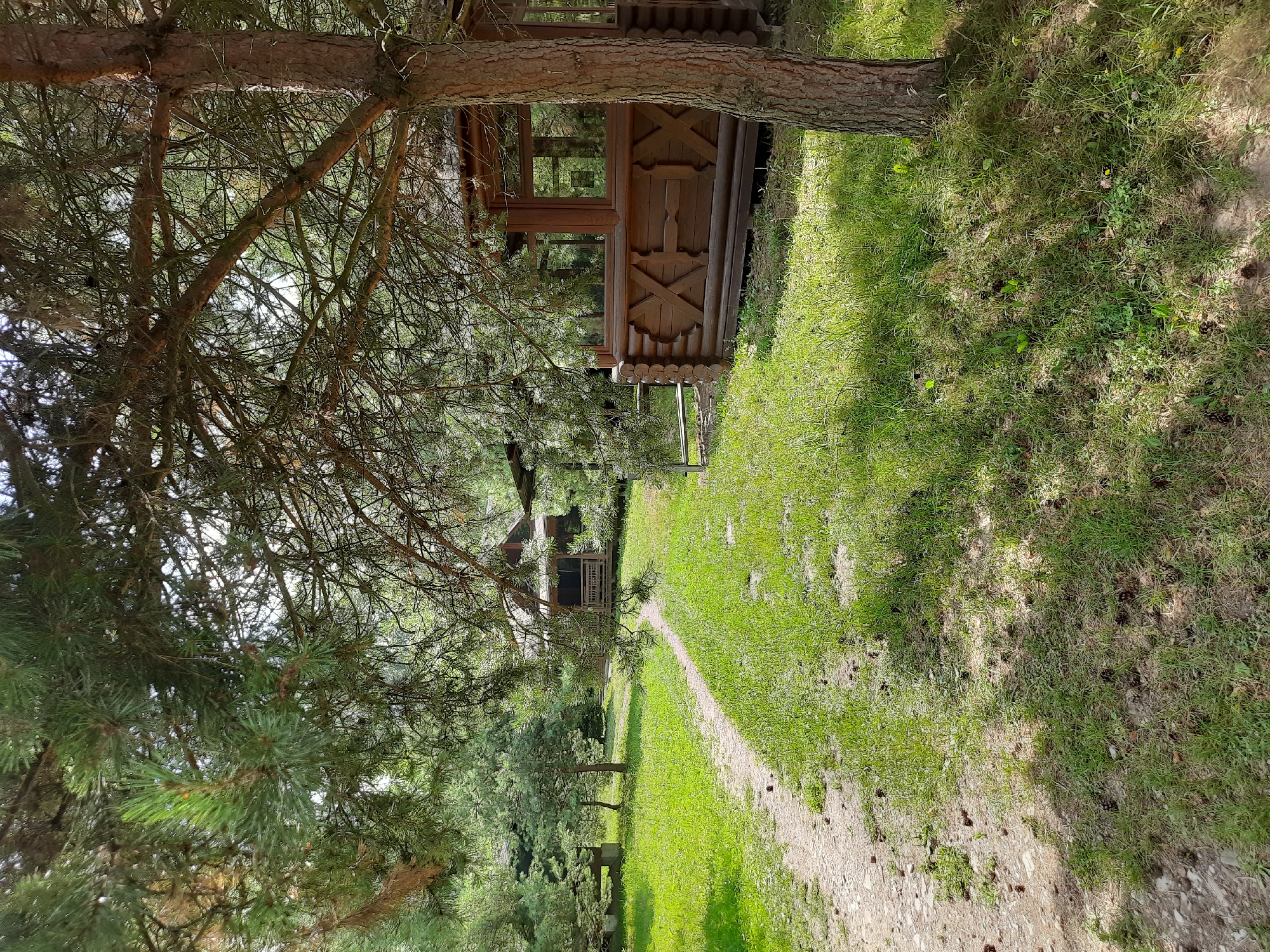 The image depicts a natural outdoor scene, likely in a park or forest area. In the foreground, a dirt path winds through a grassy area with scattered pinecones. To the right, a section of a wooden gazebo or pavilion is visible, constructed from logs and featuring decorative X-shaped carvings. Behind this, a larger wooden building, possibly a house or cabin, with a porch and visible windows is situated amongst trees. The environment is characterized by lush green grass, numerous pine trees casting shadows, and a generally serene, wooded atmosphere. There are no people or animals visible in the image. The location is not identifiable as being in the city of Drohobych, Ukraine, based on the visual information provided.