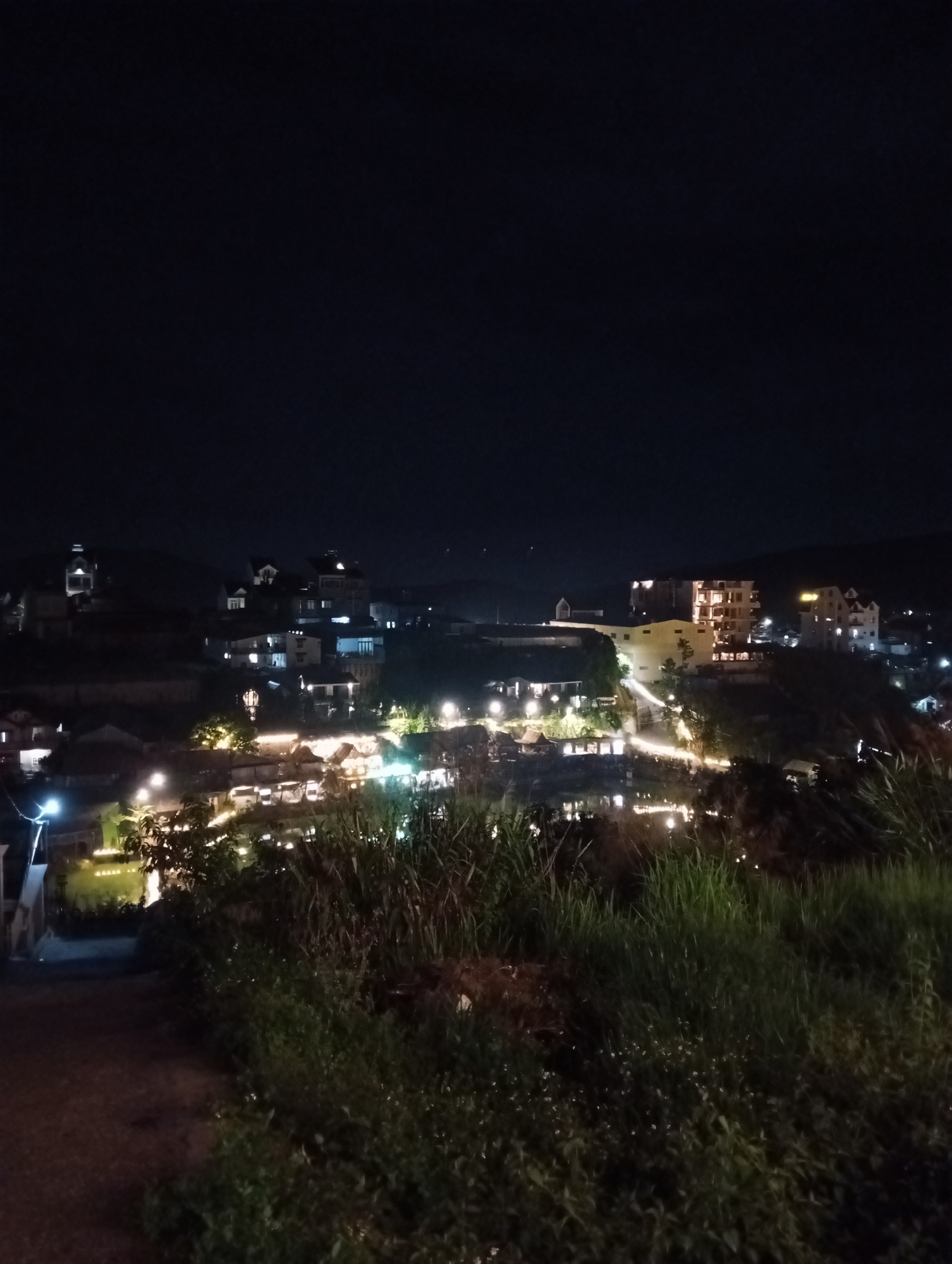 The image depicts a nighttime view of a hill town in Da Lat, Vietnam. In the foreground, overgrown vegetation obscures parts of the dark, possibly dirt, ground. Moving upwards, a road with a street light is partially visible. Beyond this, a network of houses and buildings with illuminated windows and street lights occupies the midground. The buildings appear to be situated on sloping terrain. The sky is uniformly dark.