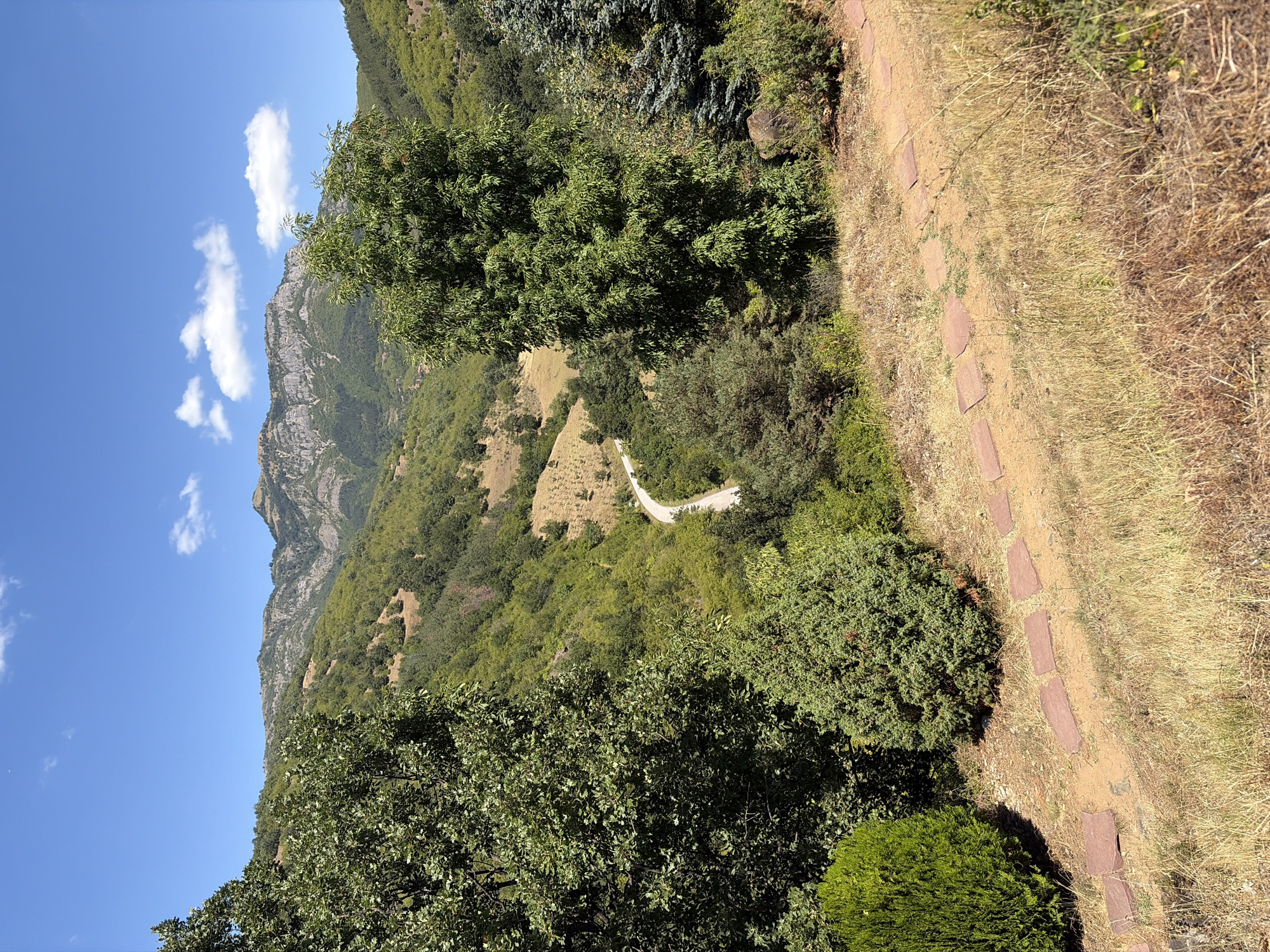 This image depicts a scenic view of a mountain landscape in Eliseyna, Bulgaria. In the foreground, a pathway made of flat, reddish-brown stones winds through dry, yellow grass. Several large, green bushes flank the pathway on the left and right. Beyond the pathway, the terrain slopes downwards, revealing a valley covered in lush green trees and vegetation. A winding paved road is visible in the middle ground, cutting through the valley. In the background, majestic, rocky mountains rise against a clear blue sky dotted with fluffy white clouds. The overall impression is one of natural beauty and tranquility.
